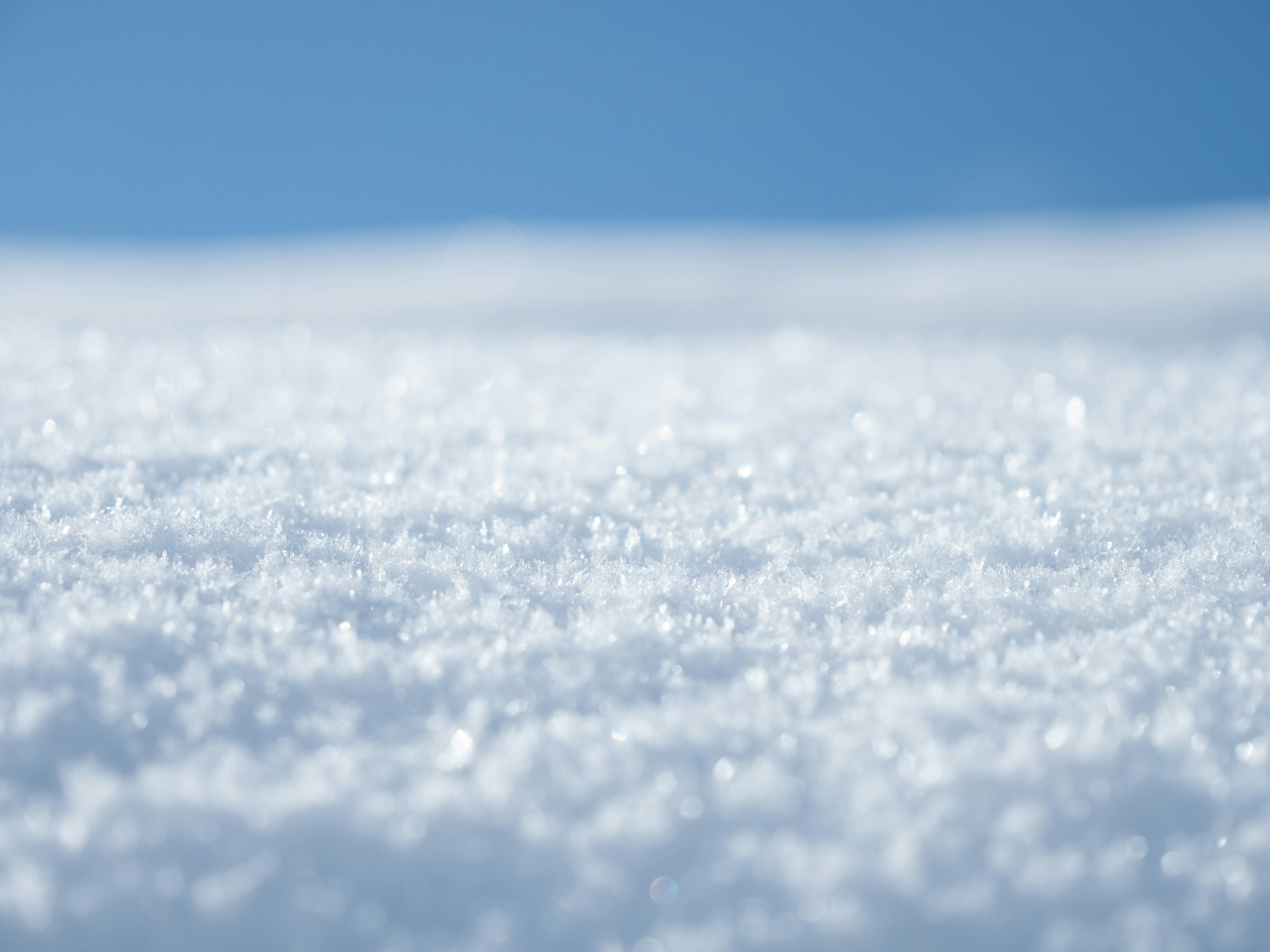 Photo by shellingfordyu