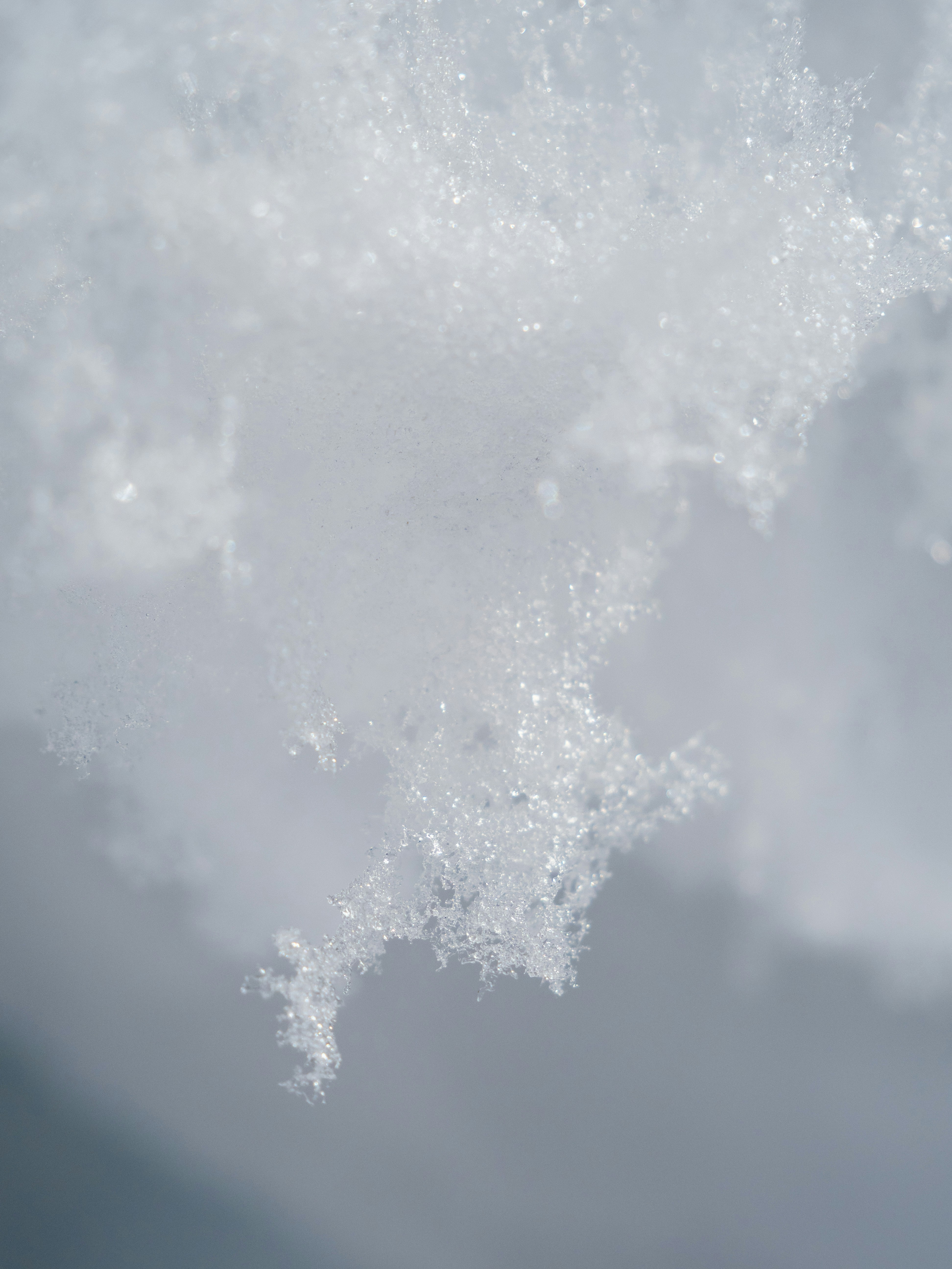 Photo by shellingfordyu