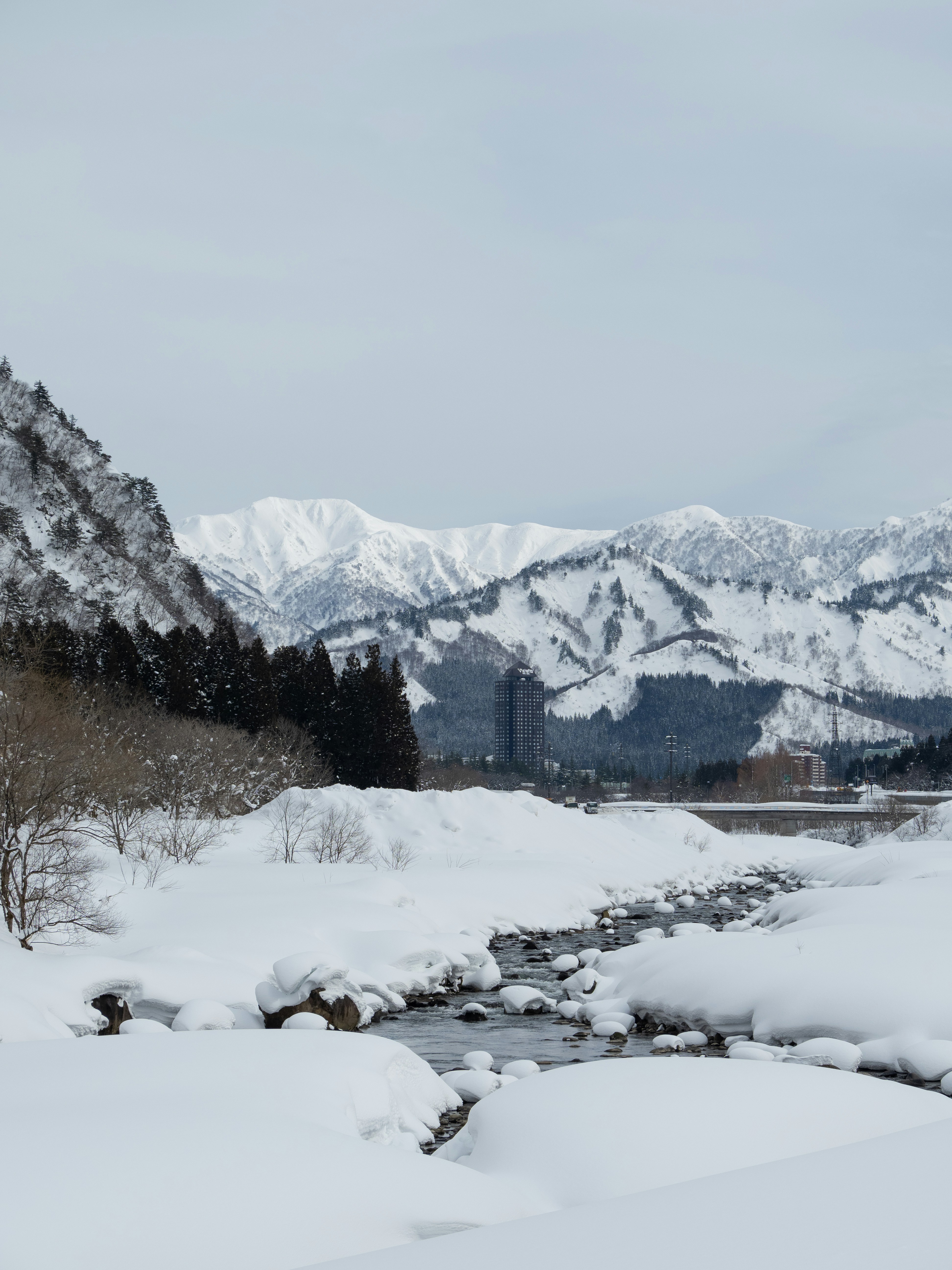 Photo by shellingfordyu