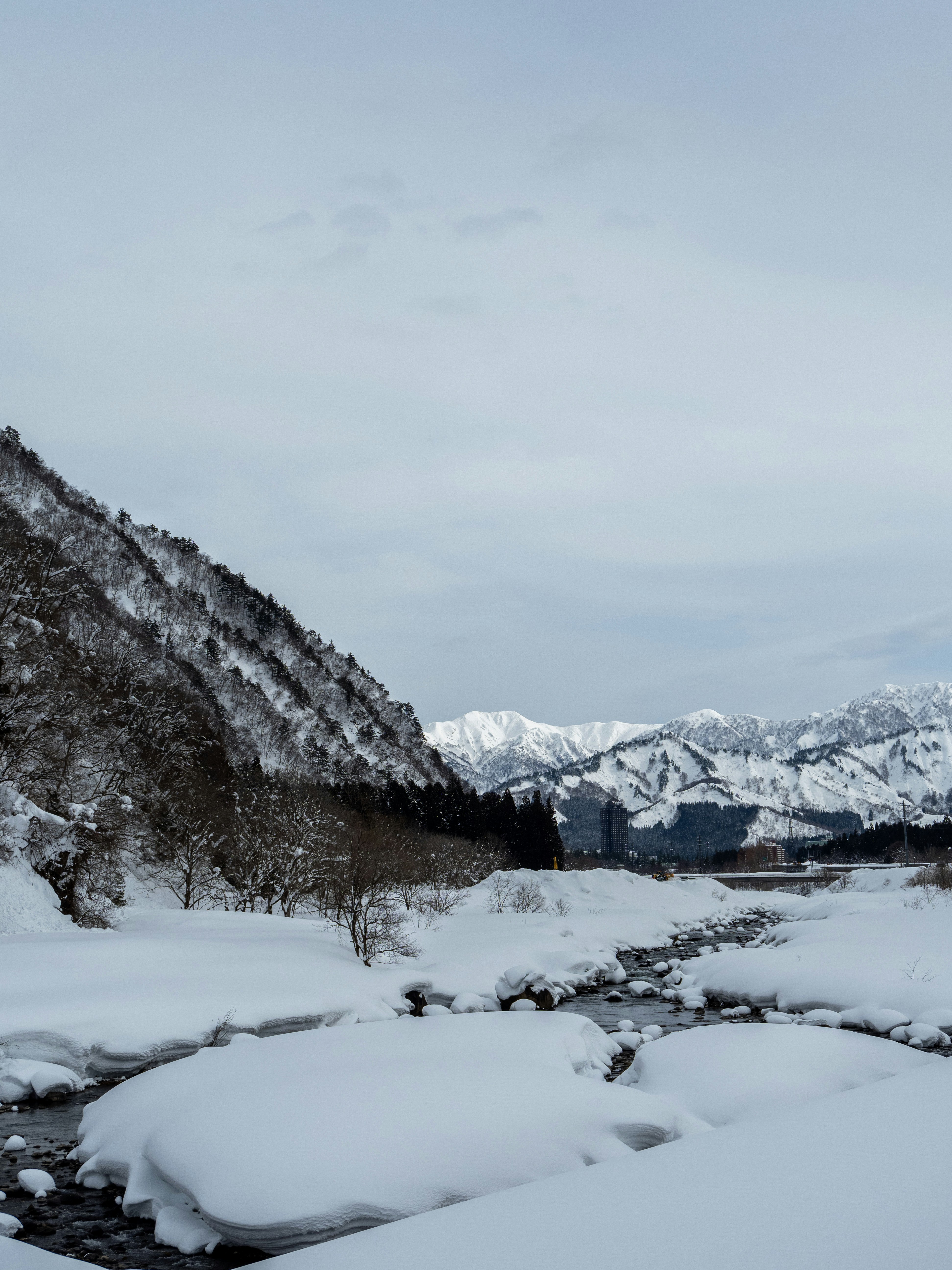 Photo by shellingfordyu