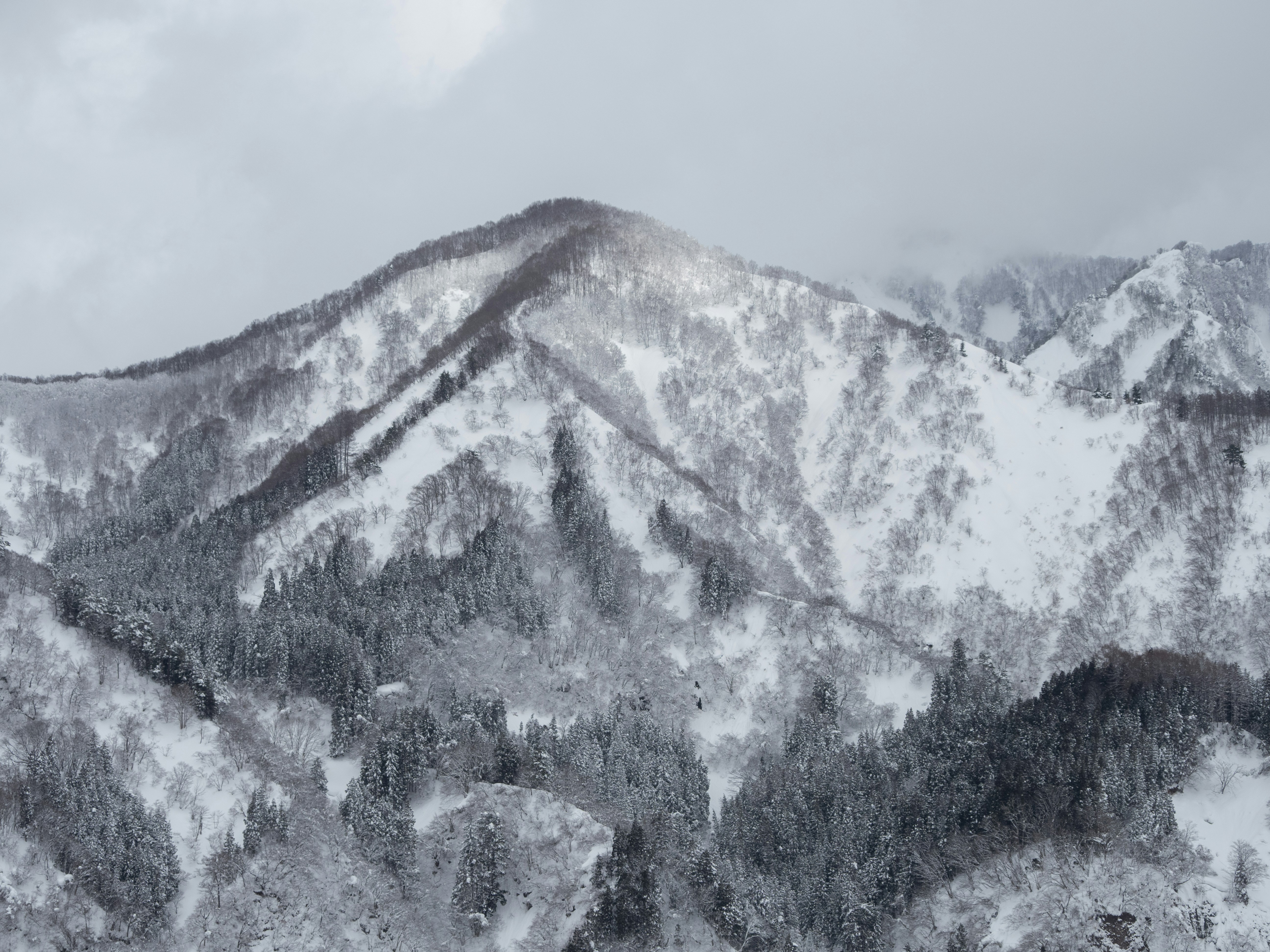 Photo by shellingfordyu