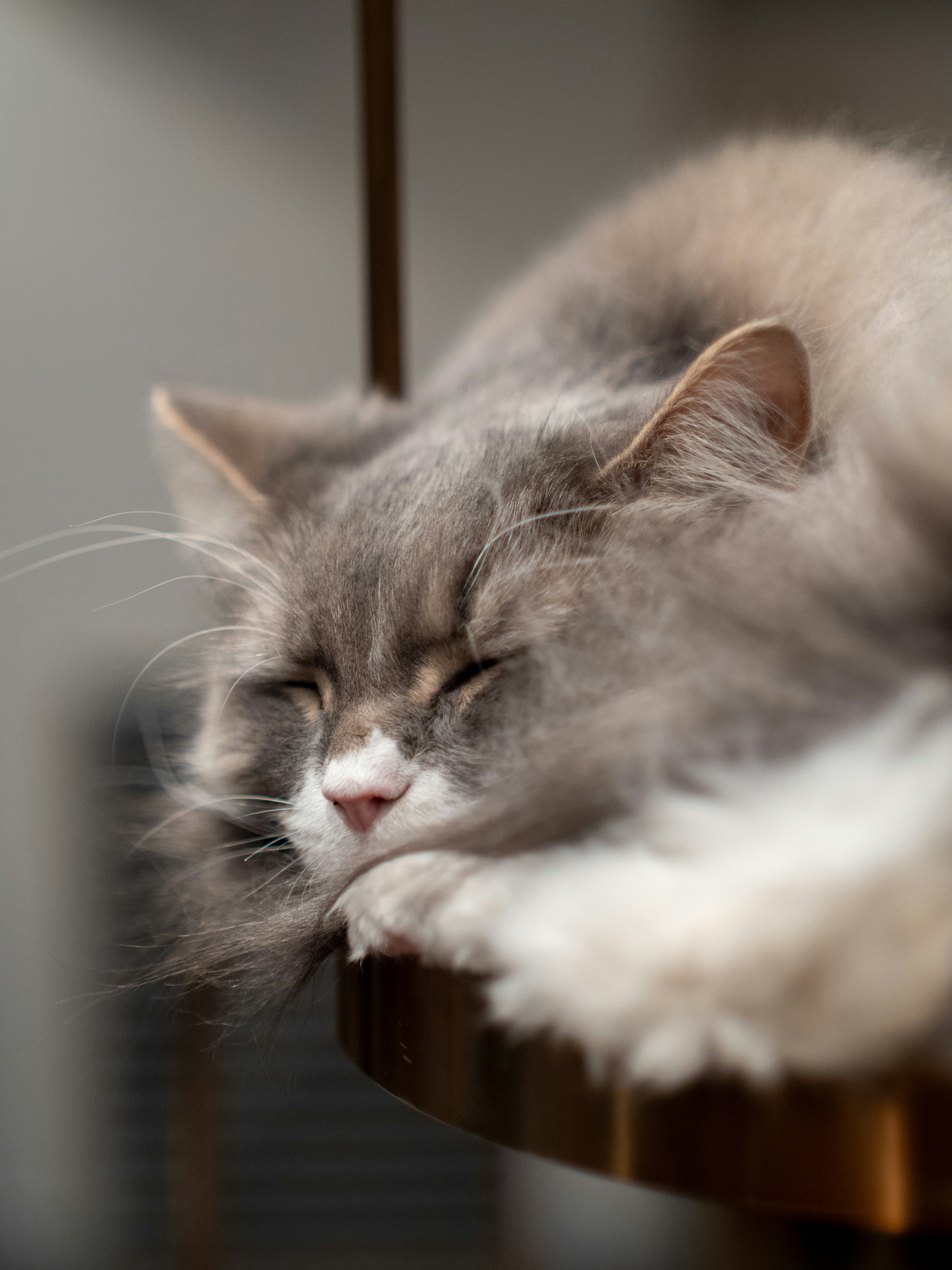 Photo by shellingfordyu