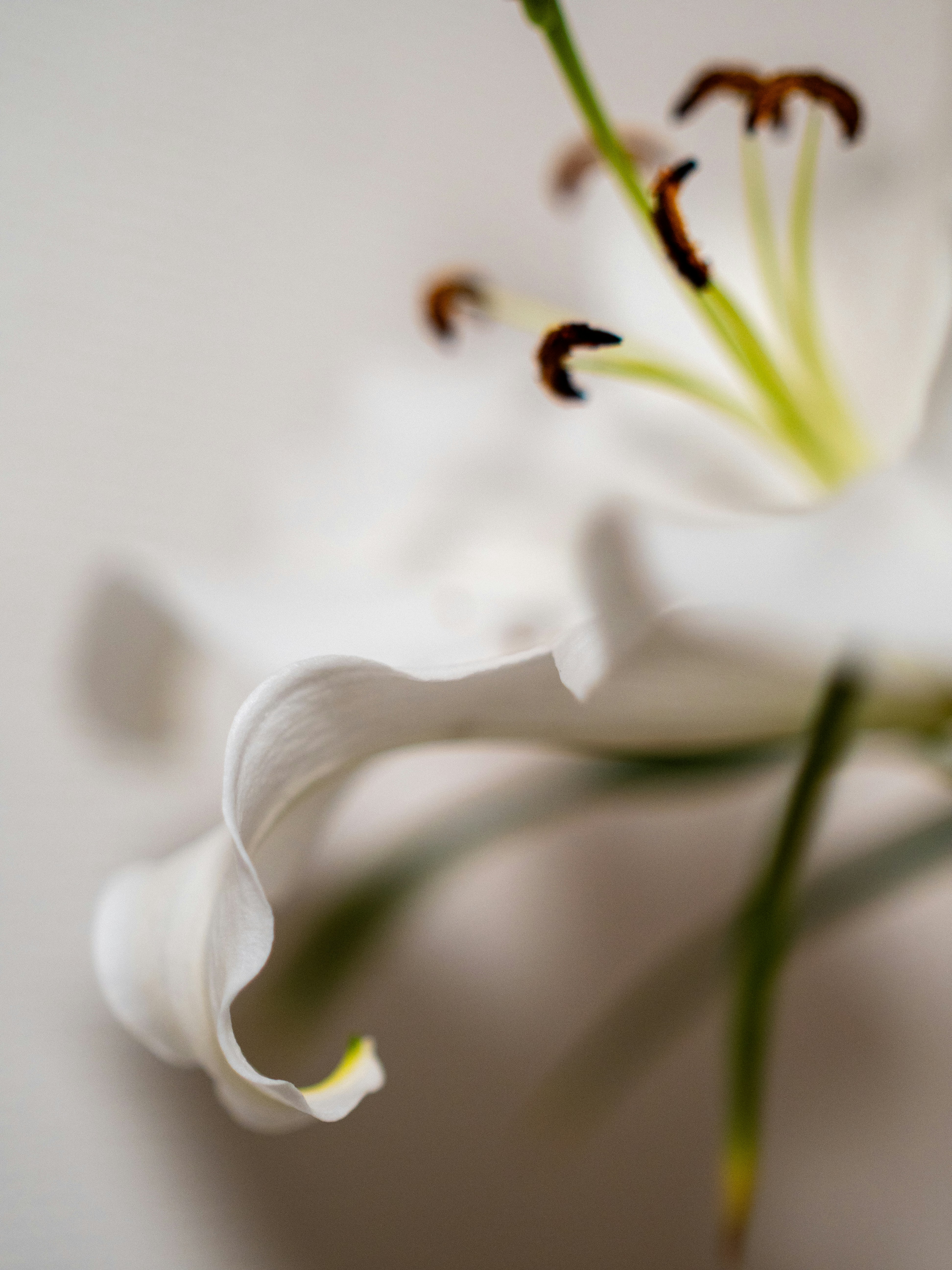 Photo by shellingfordyu