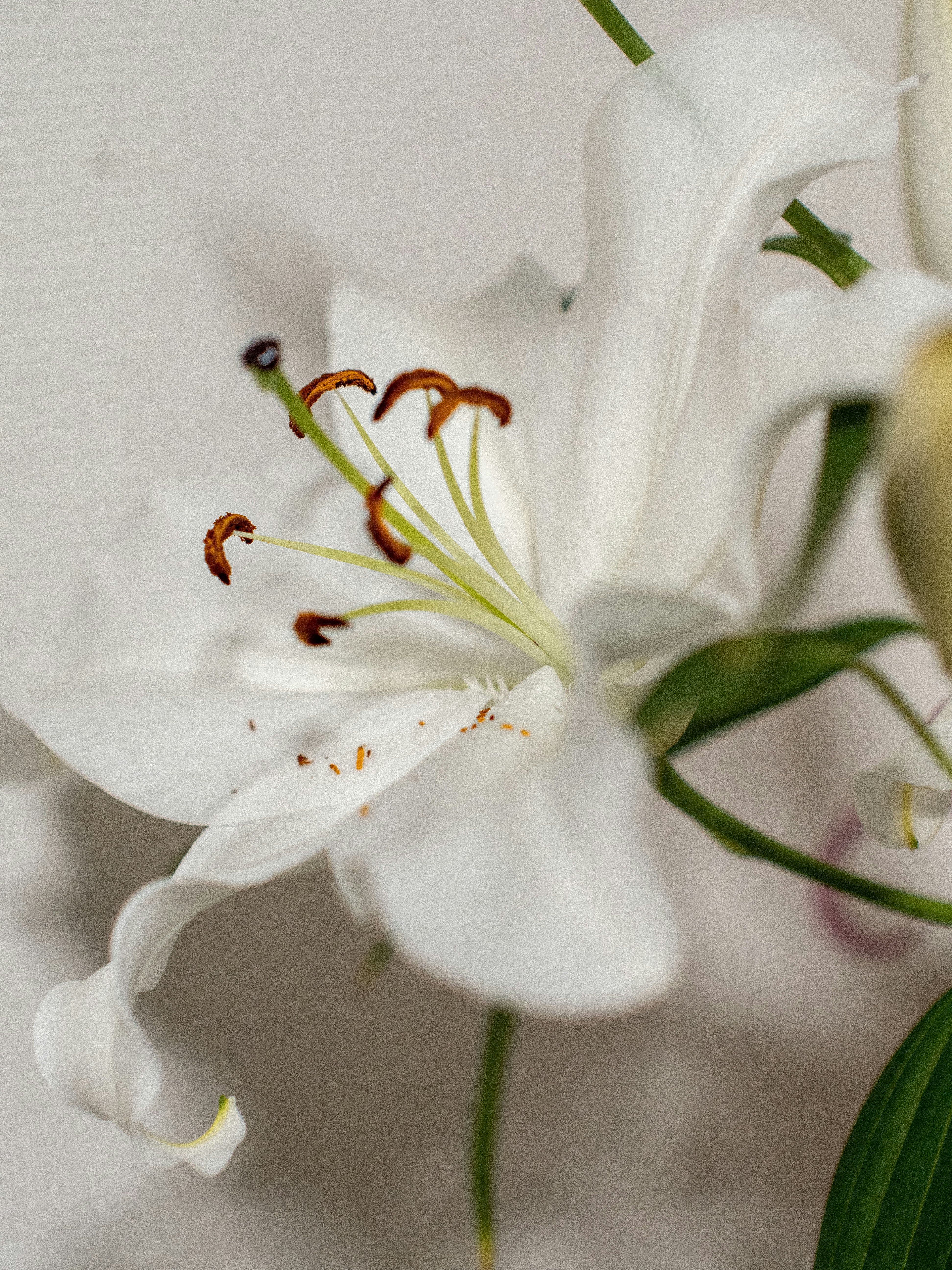 Photo by shellingfordyu