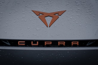 A close up of the emblem on a car