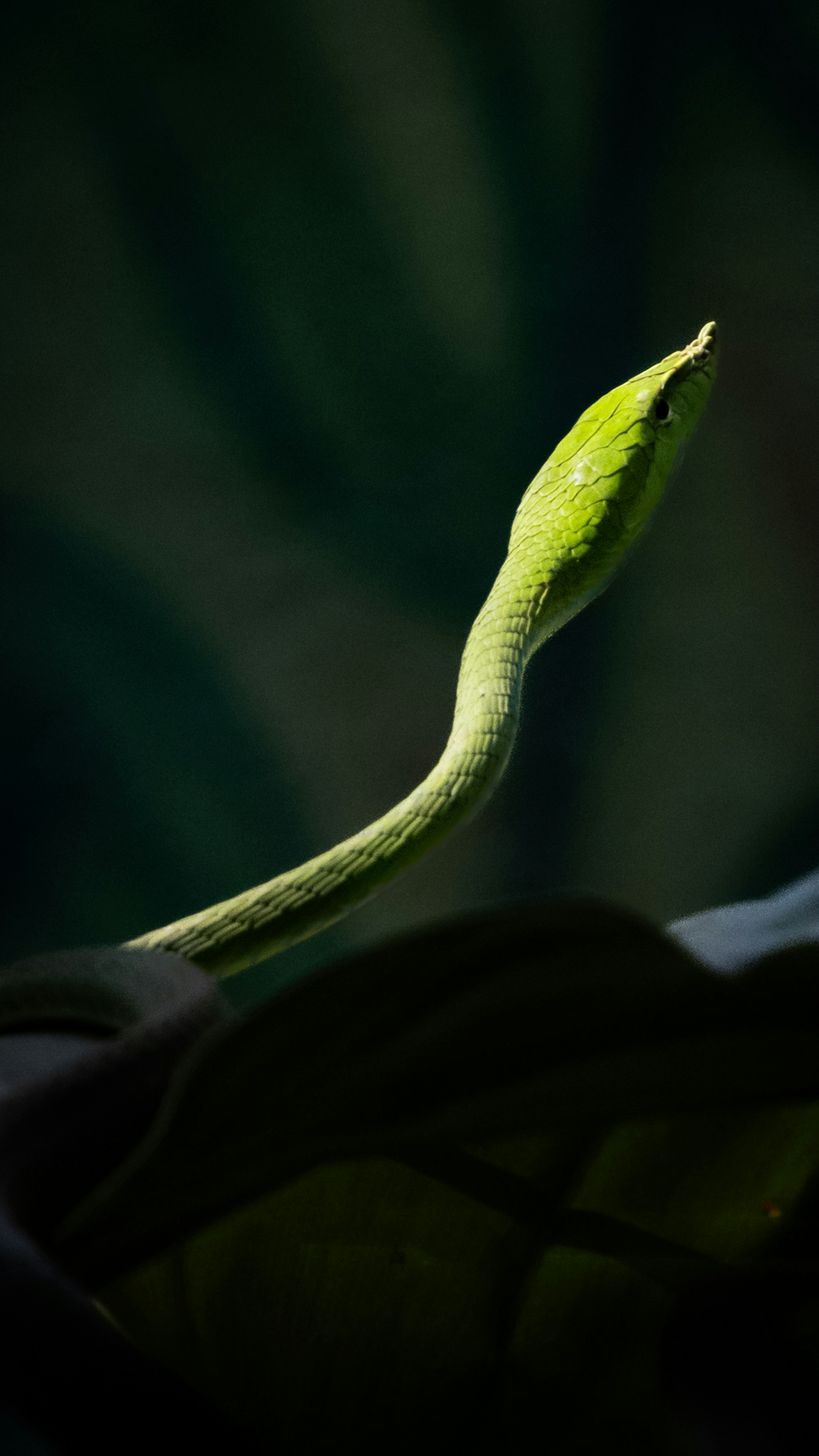 Photo by suryadoingstuff