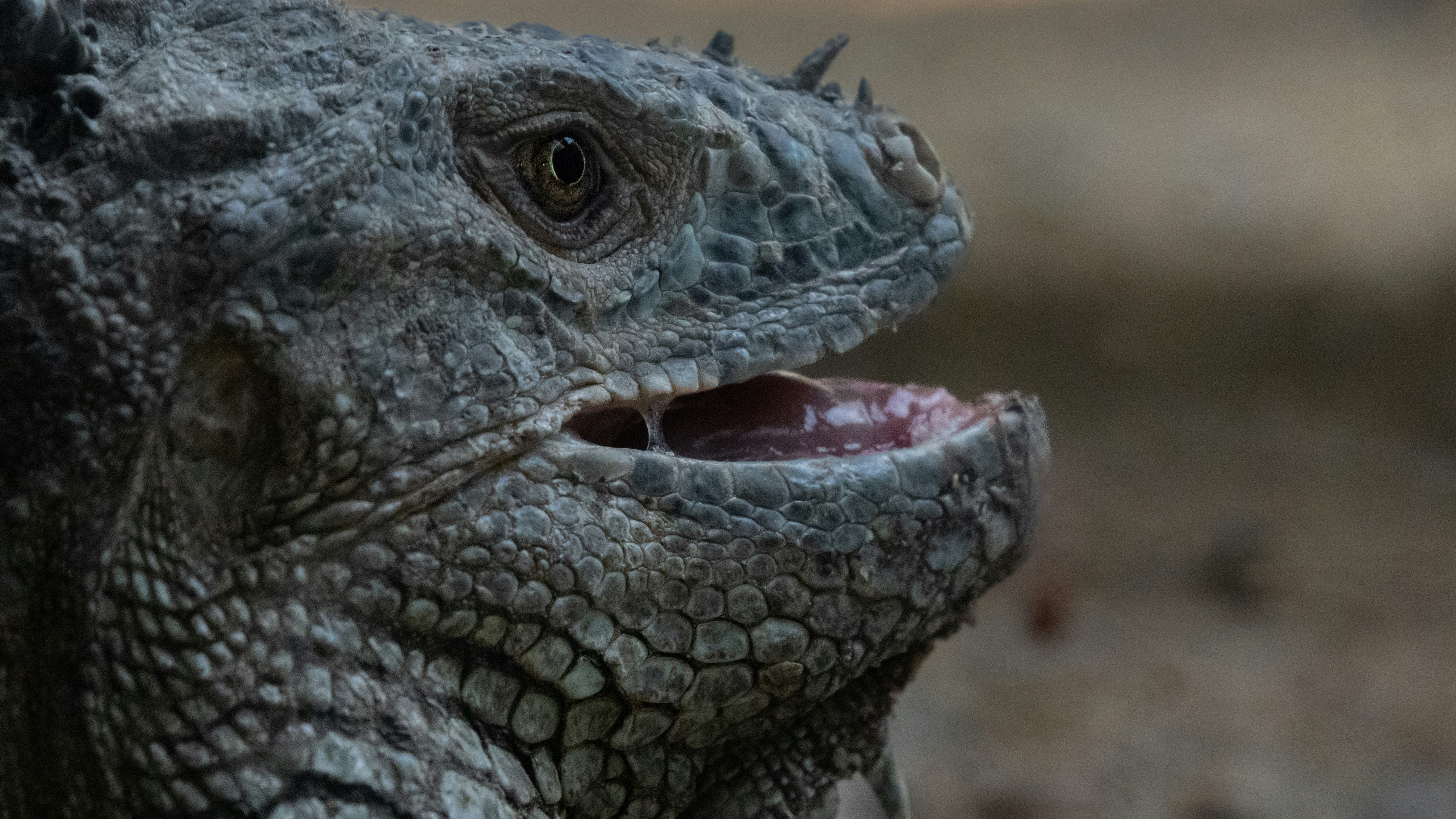 Photo by suryadoingstuff