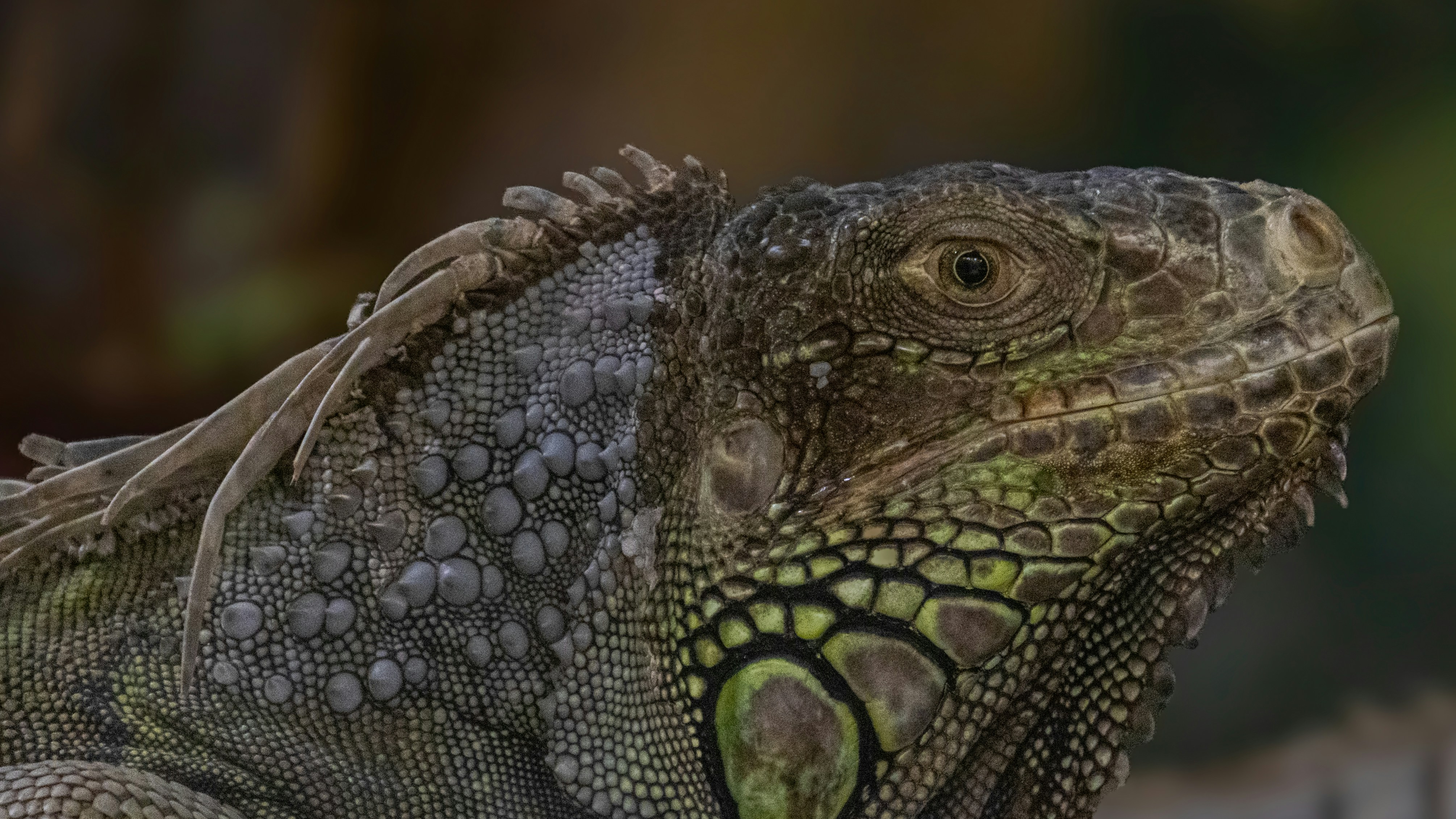 Photo by suryadoingstuff