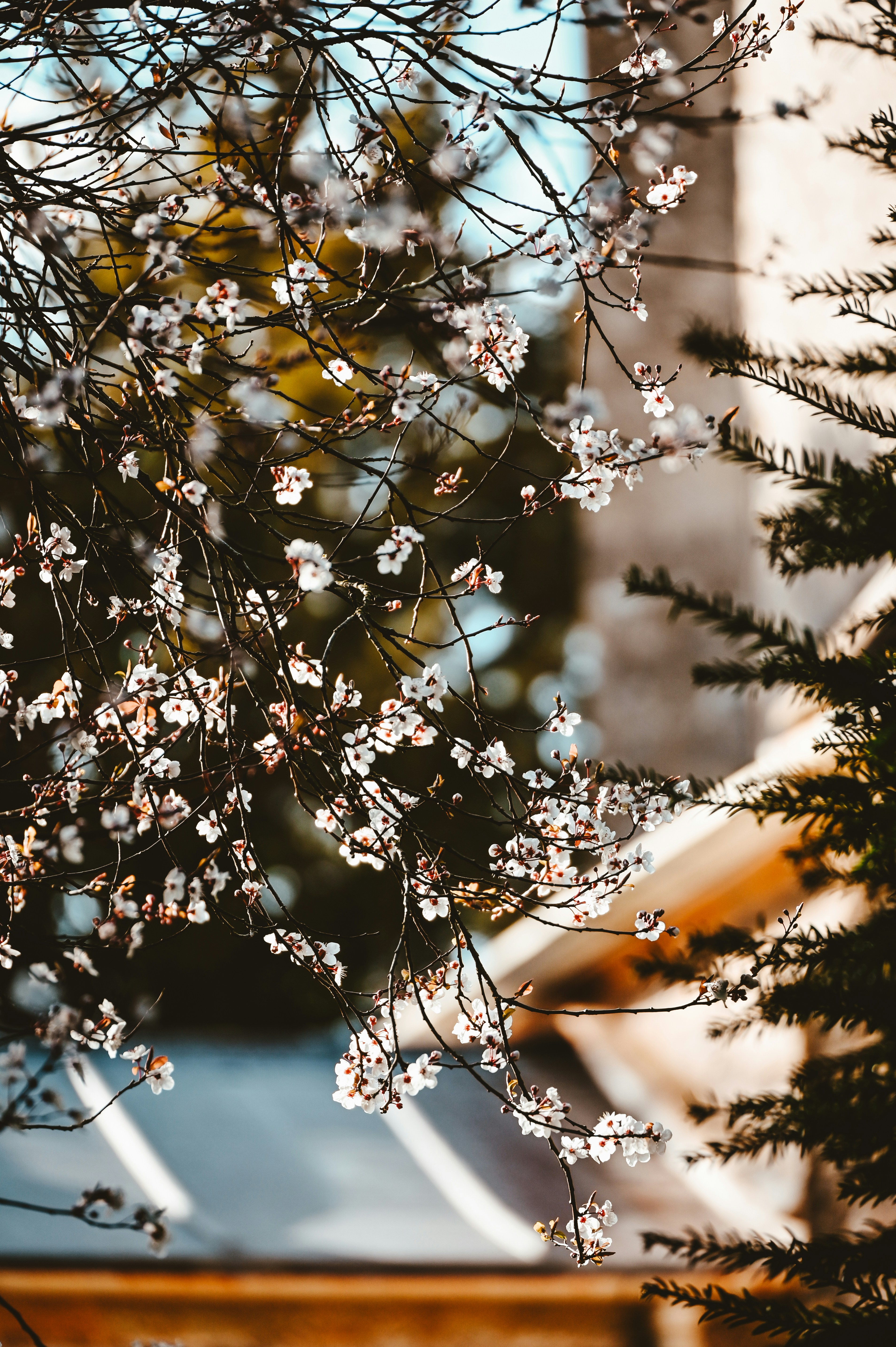 Photo by helloimnik