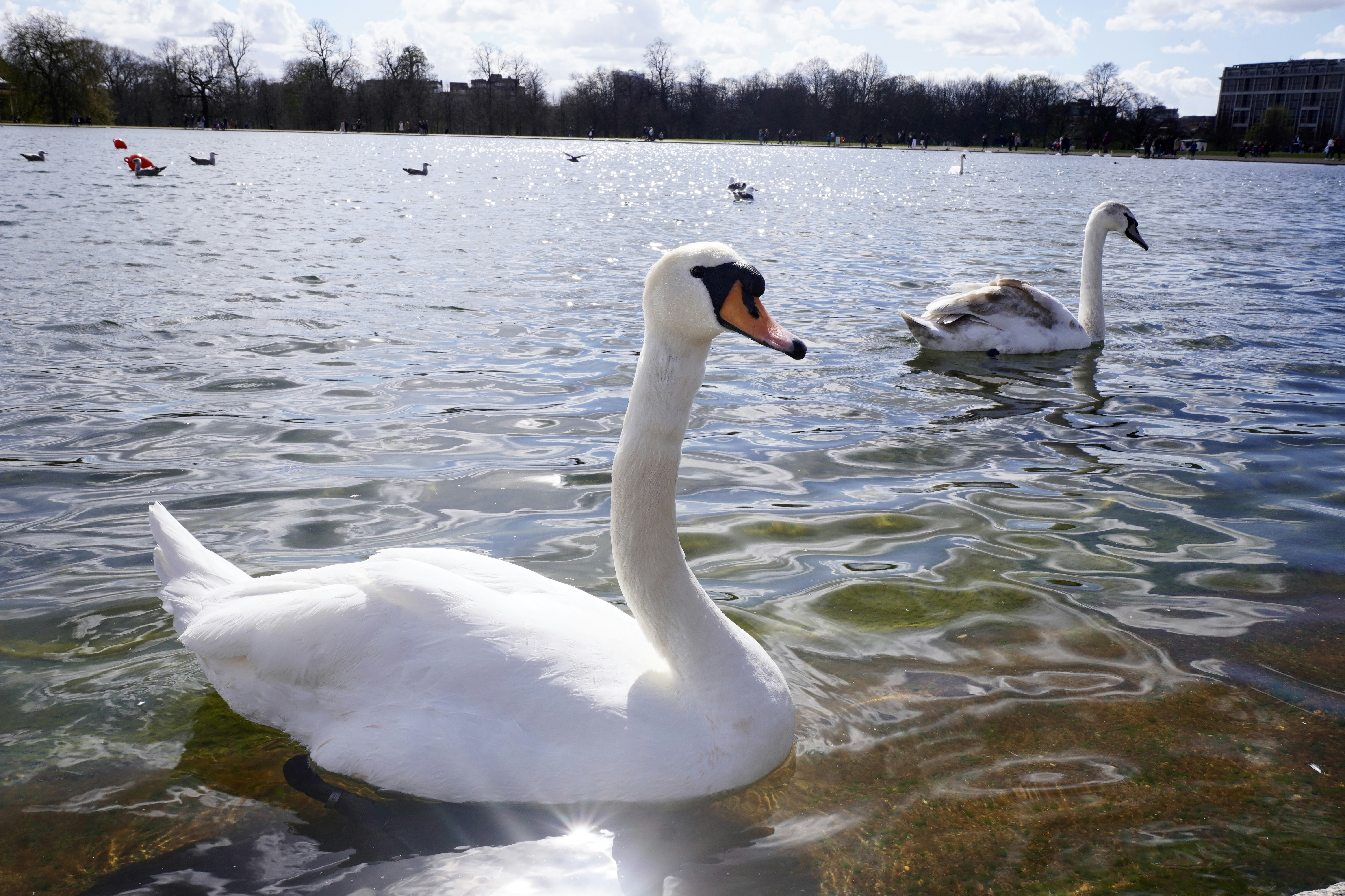 Photo by brettwharton