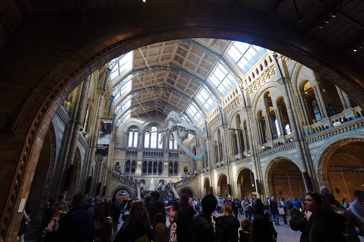 Natural History Museum, Londra