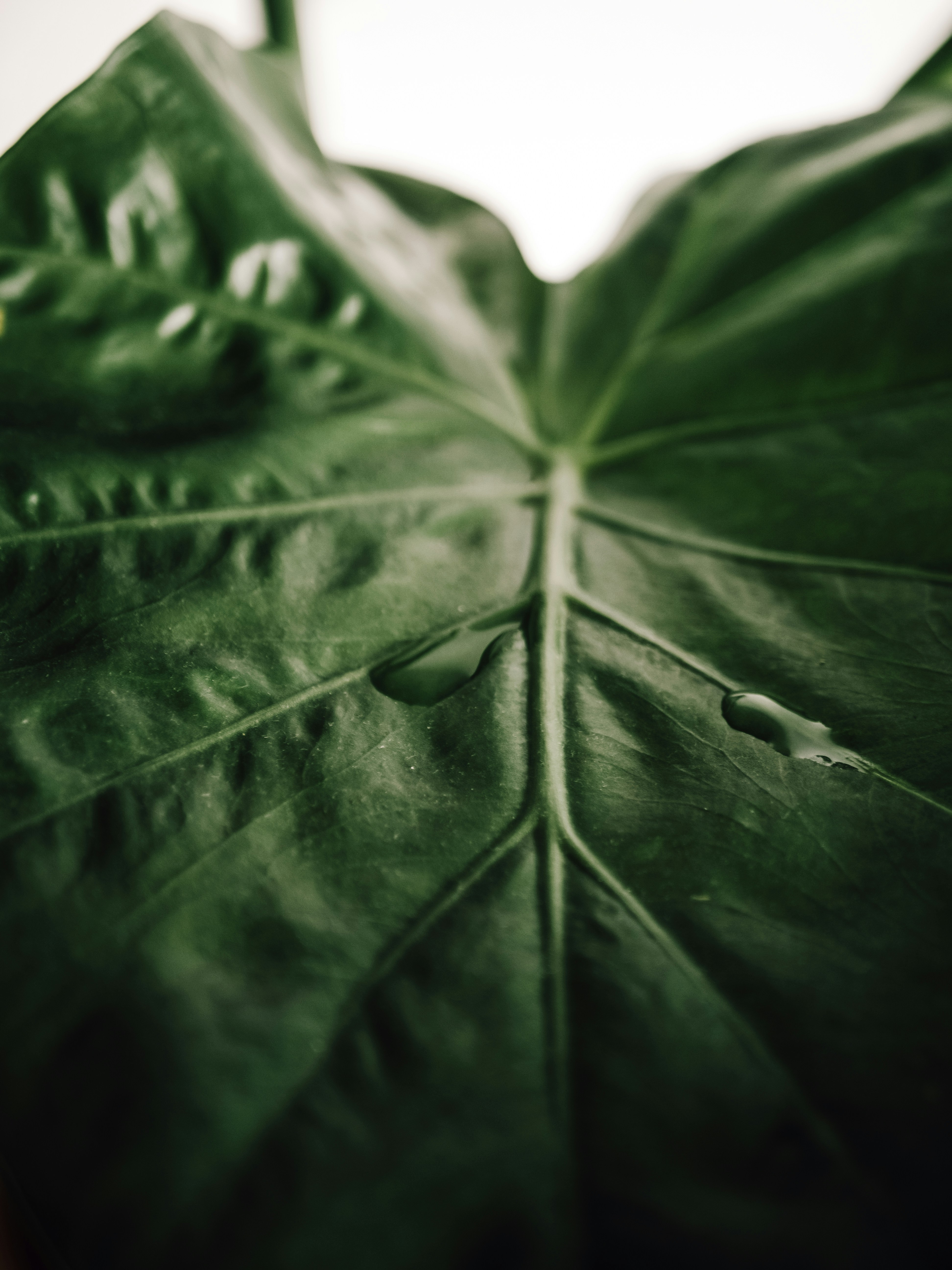 Photo by paulinaherpel