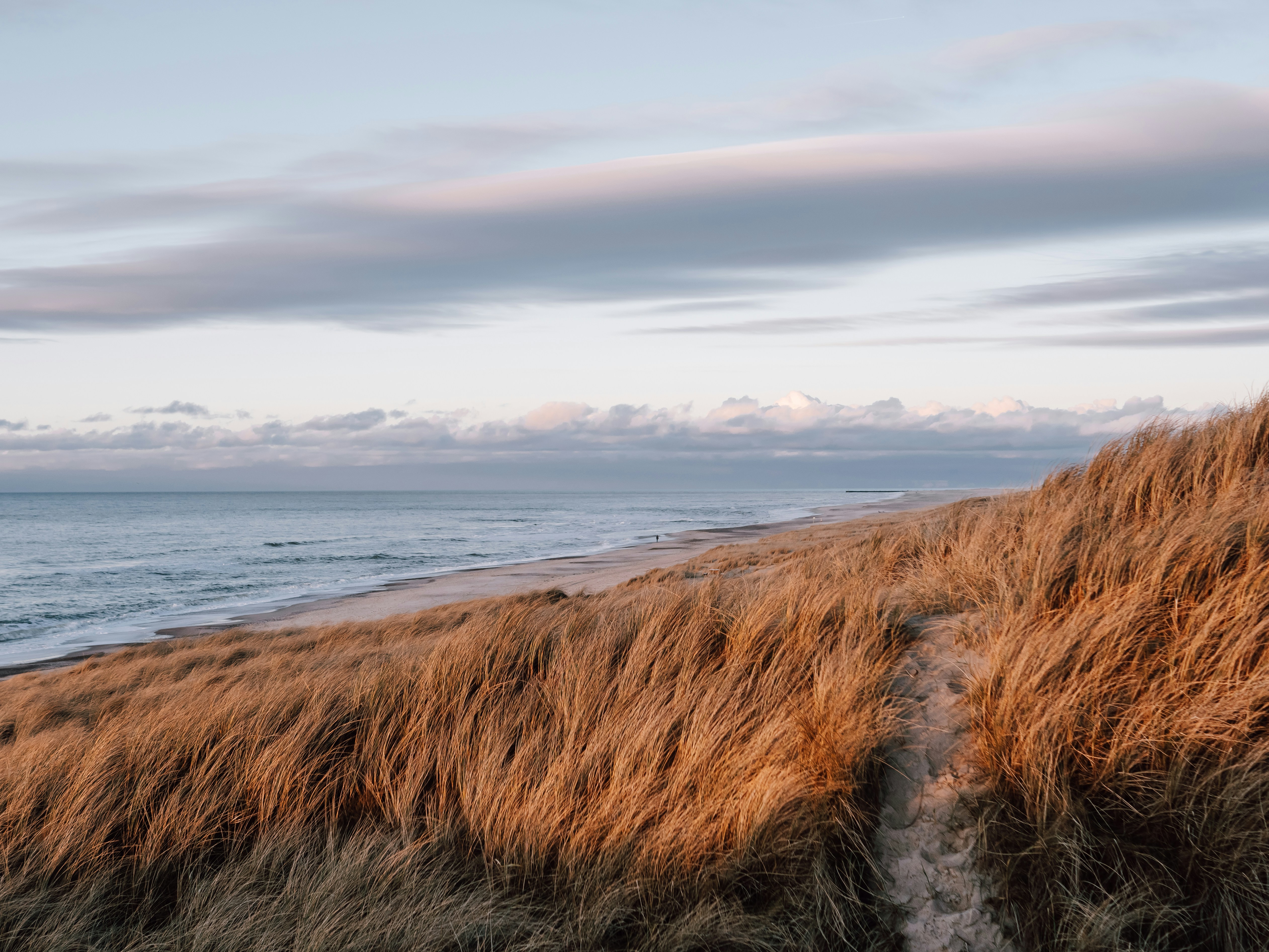 Photo by paulinaherpel