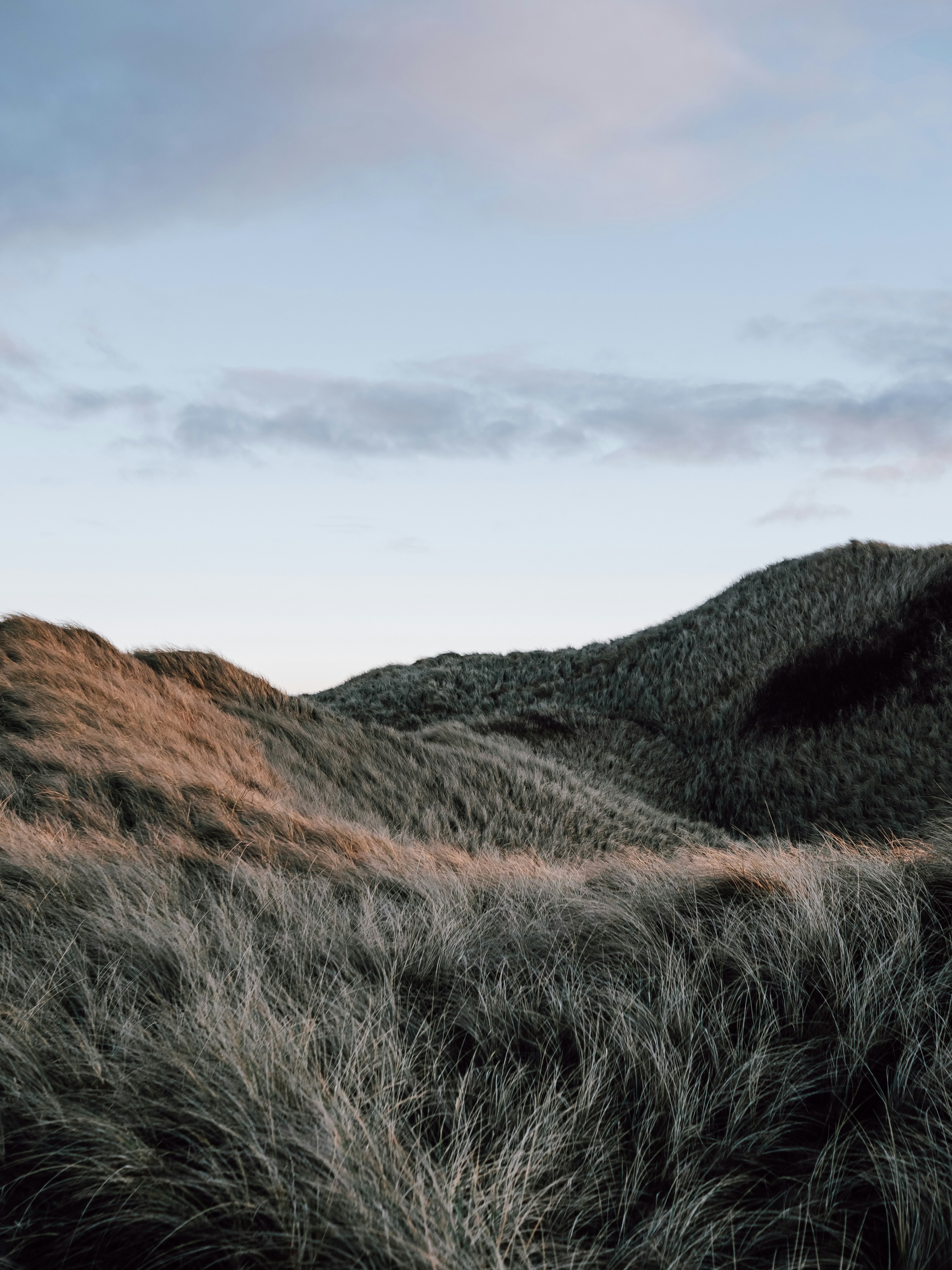 Photo by paulinaherpel