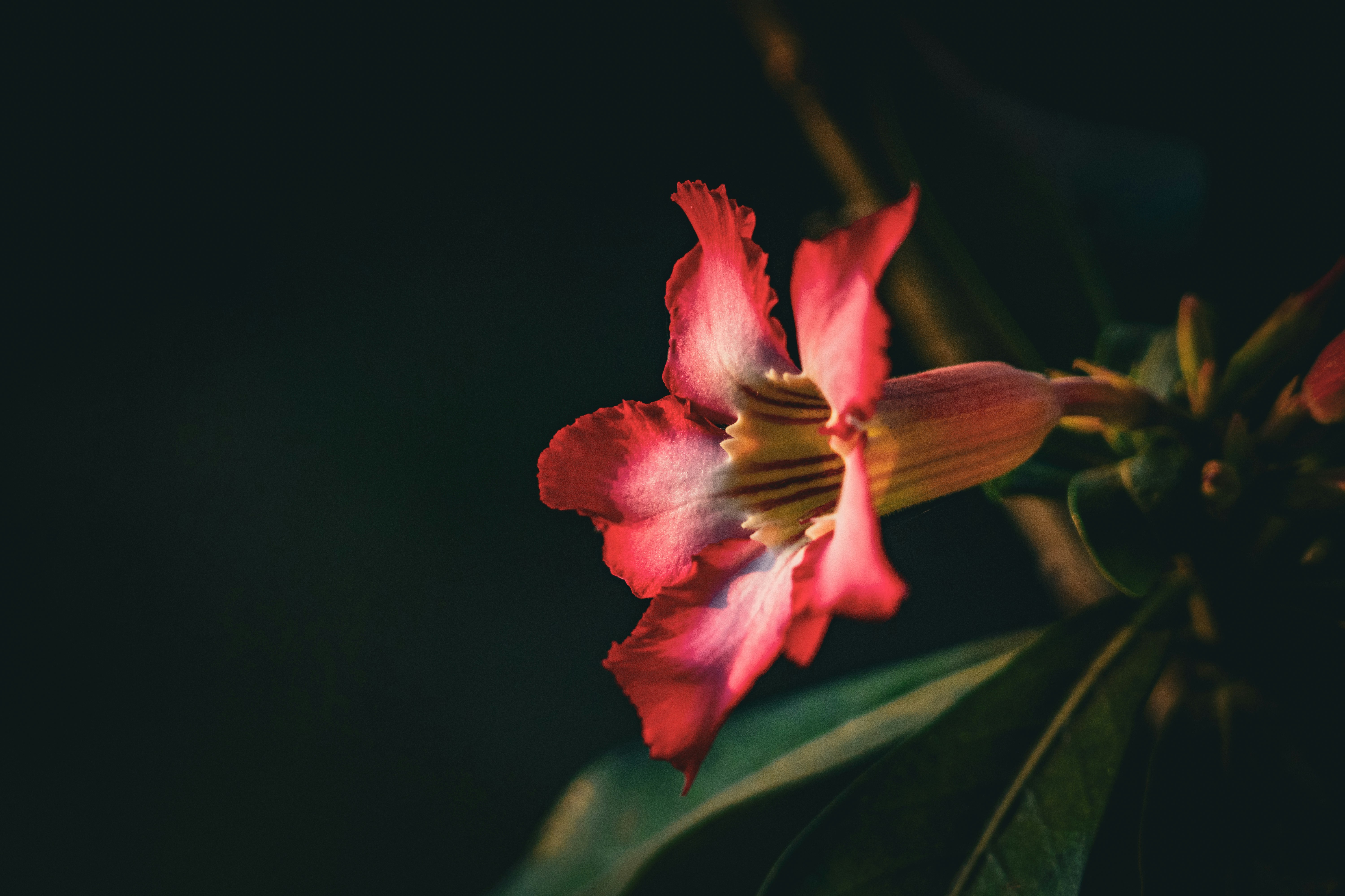 Photo by pixel_guy97