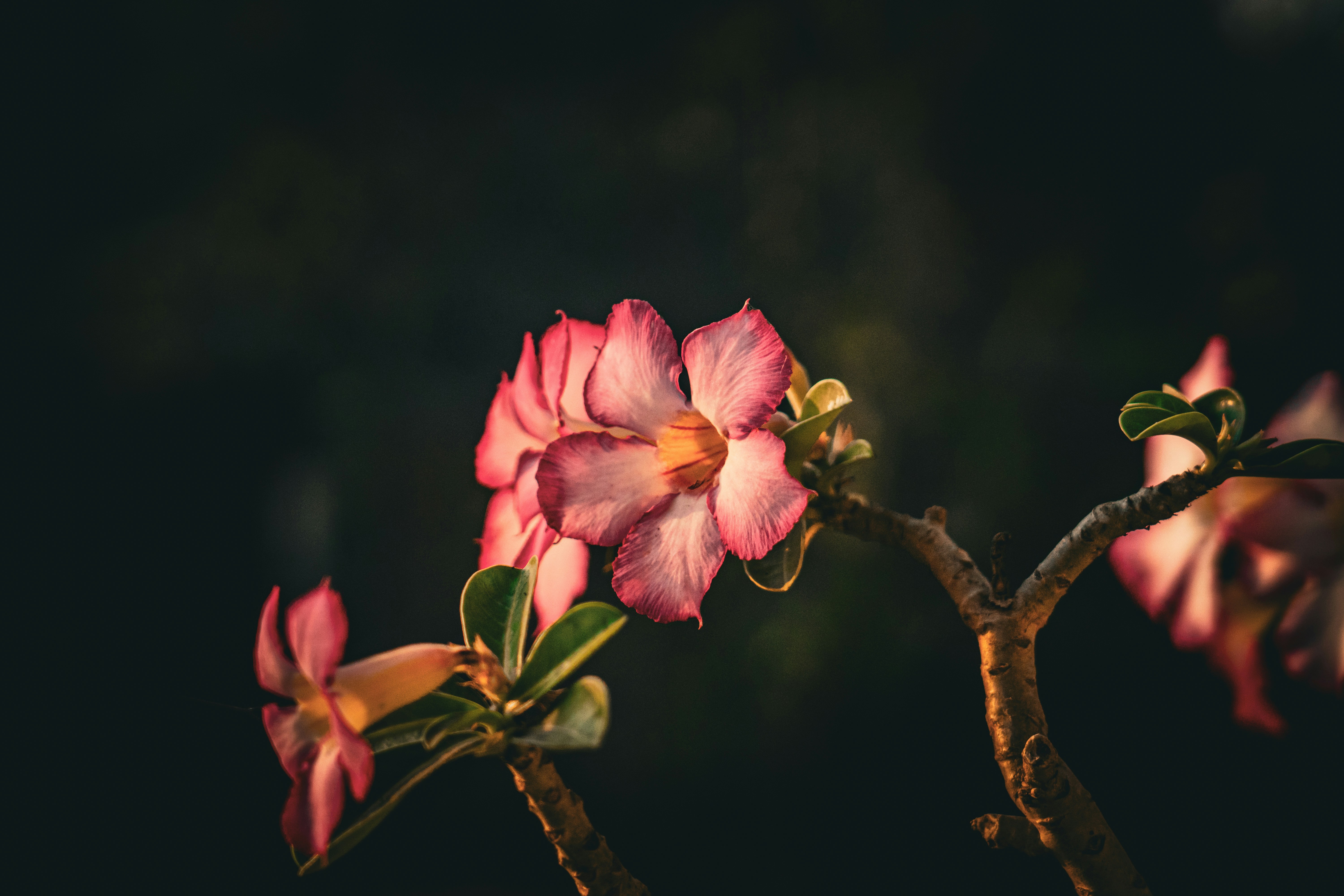 Photo by pixel_guy97