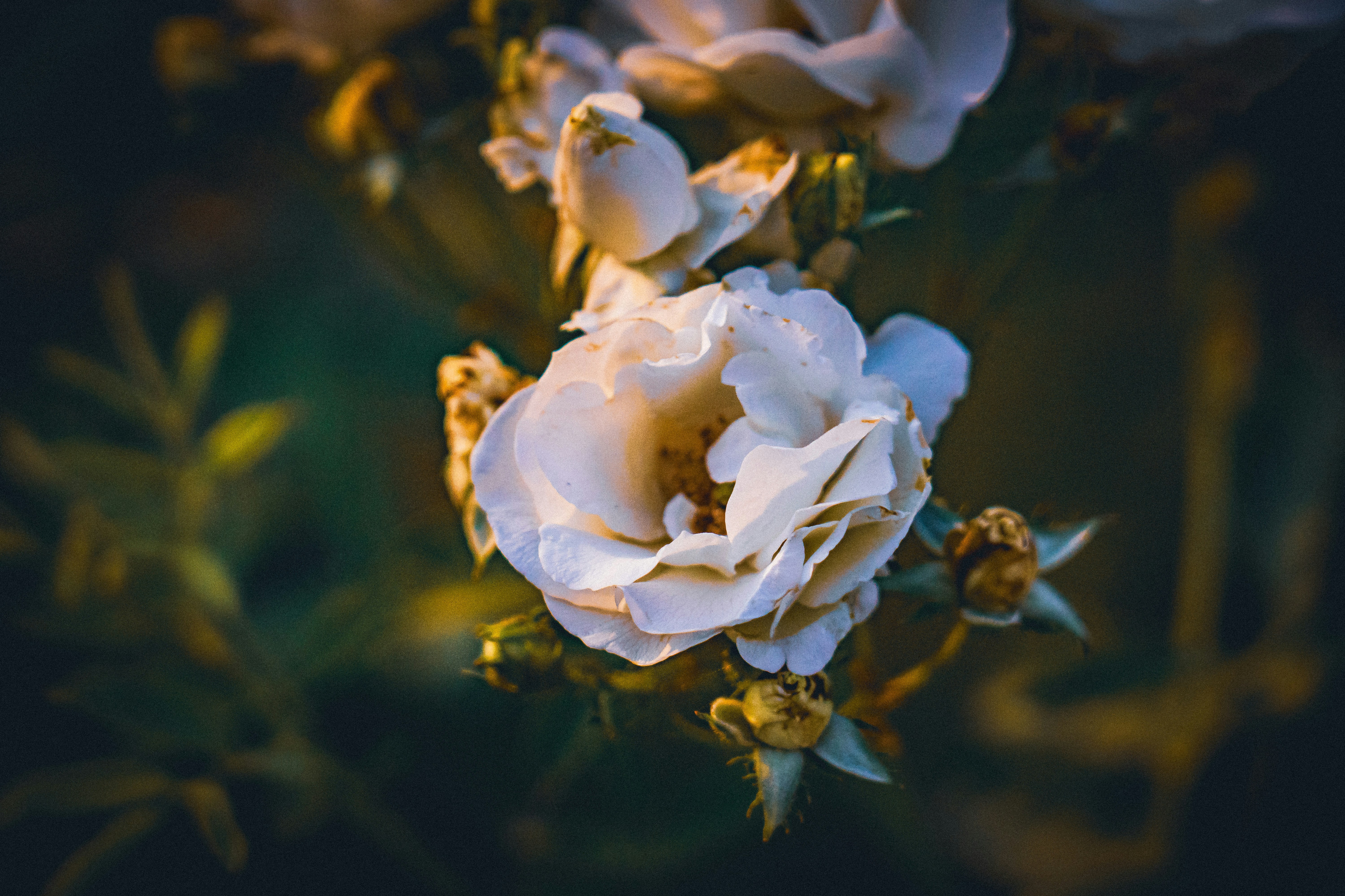 Photo by pixel_guy97