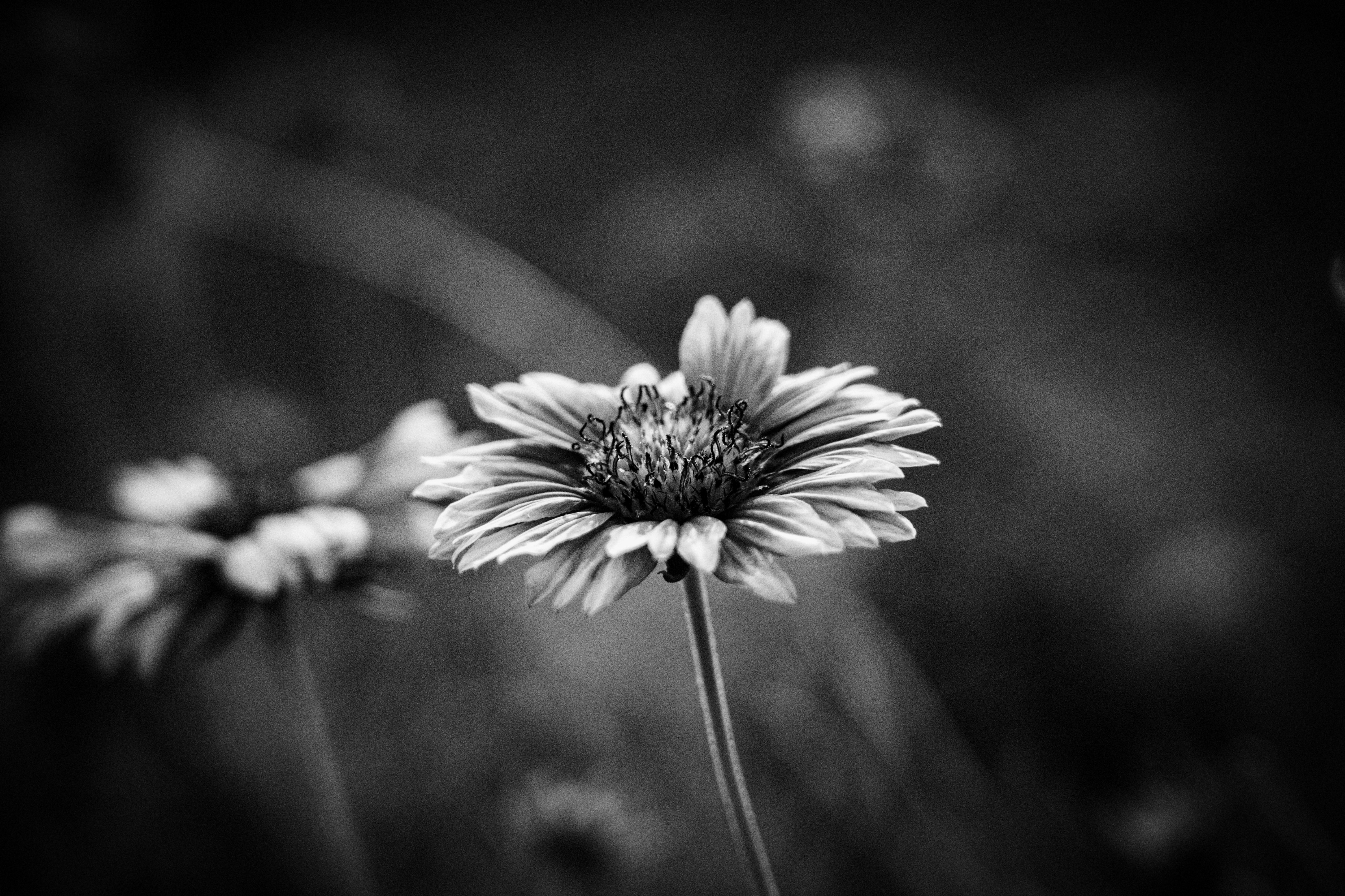 Photo by pixel_guy97