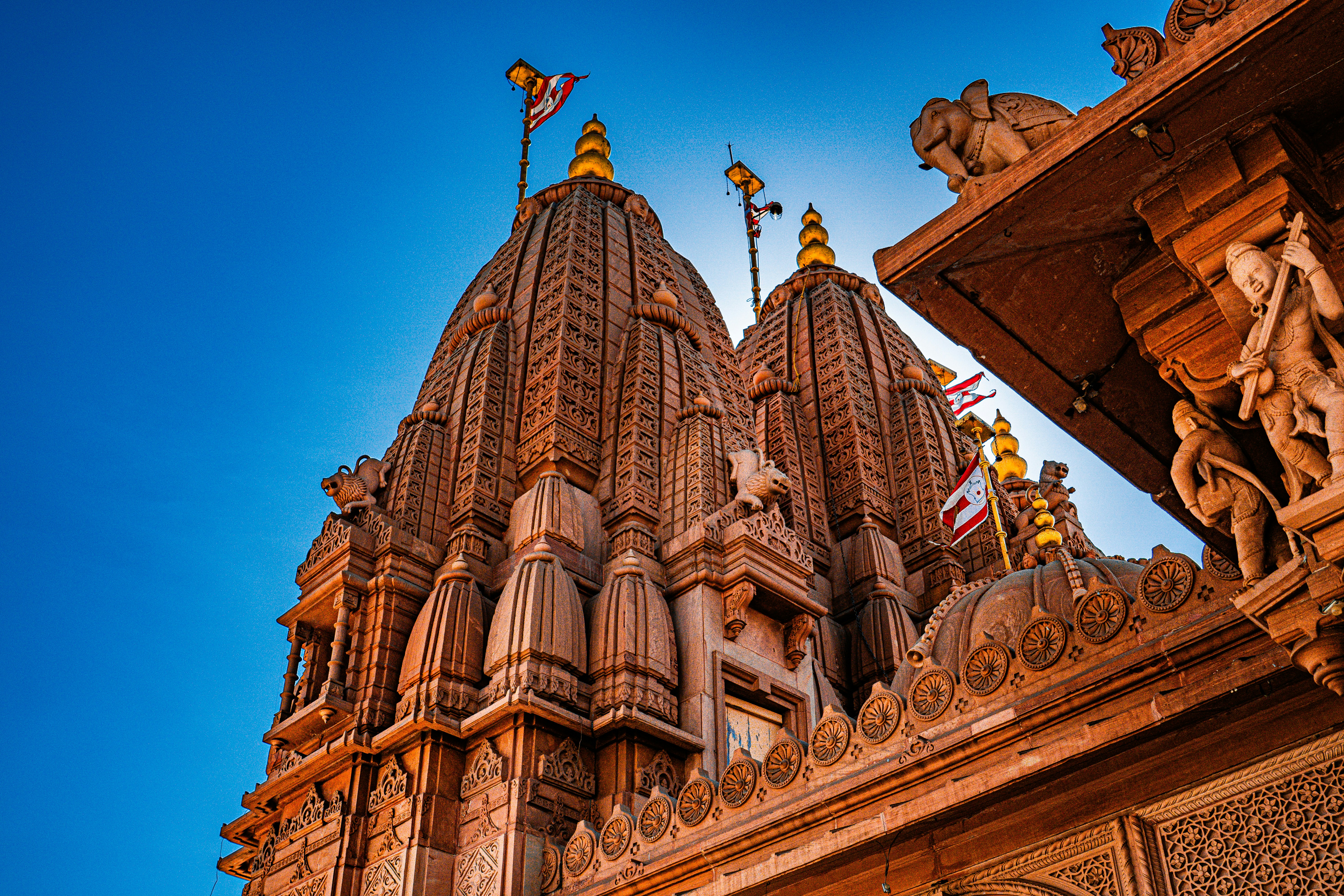 Photo by pixel_guy97