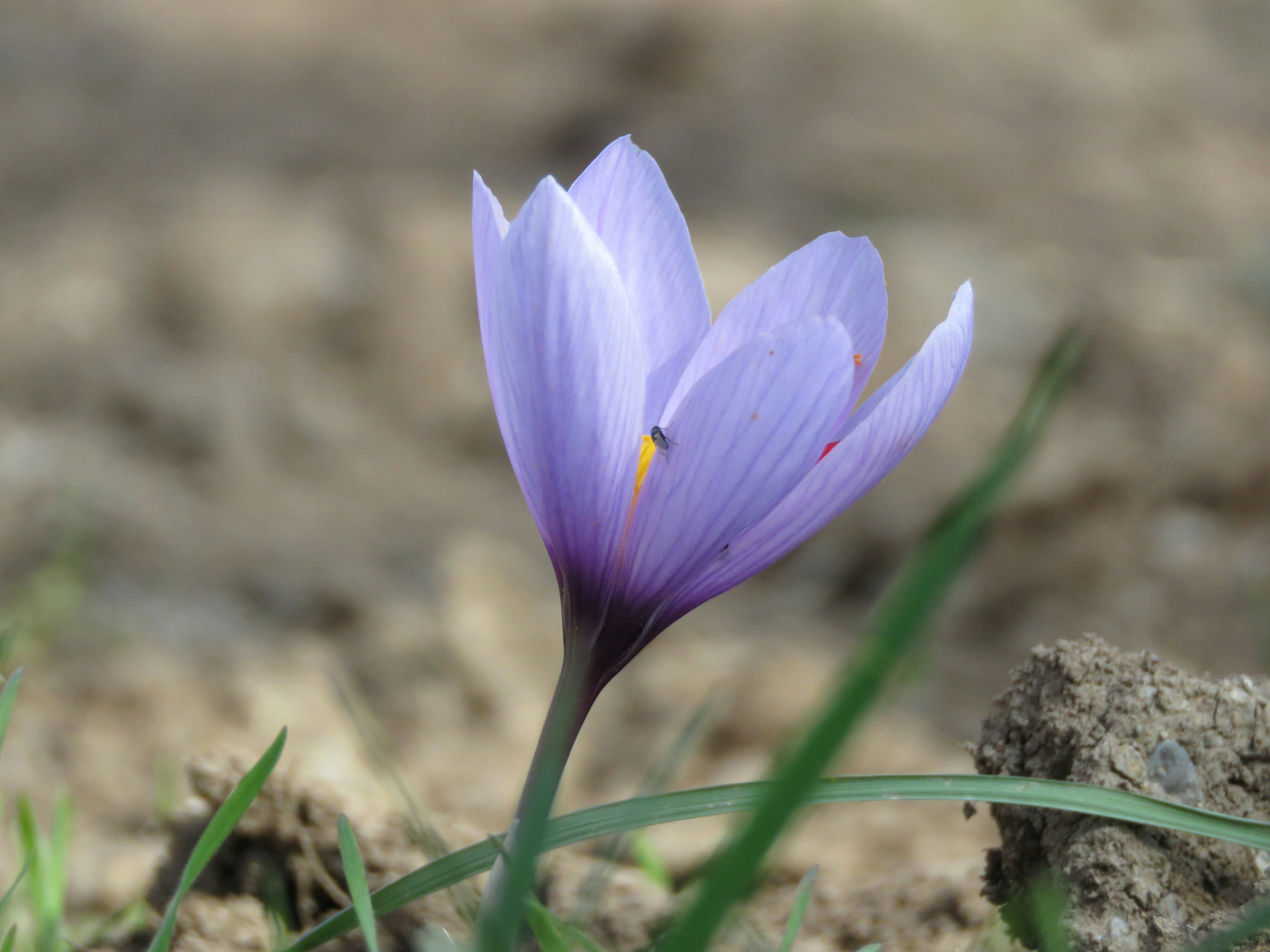 Photo by mahdizafar97