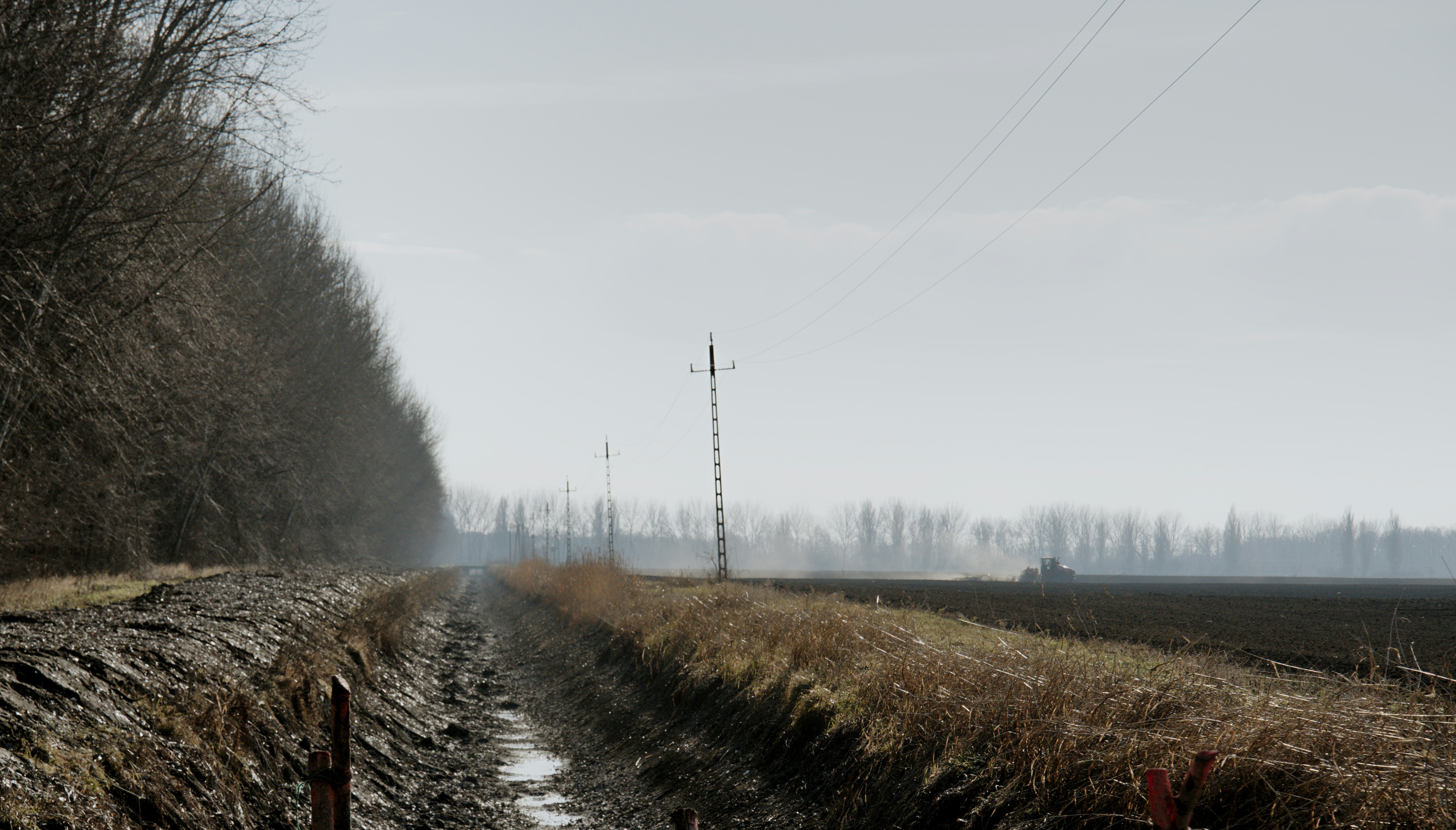 Photo by szabolcsantal