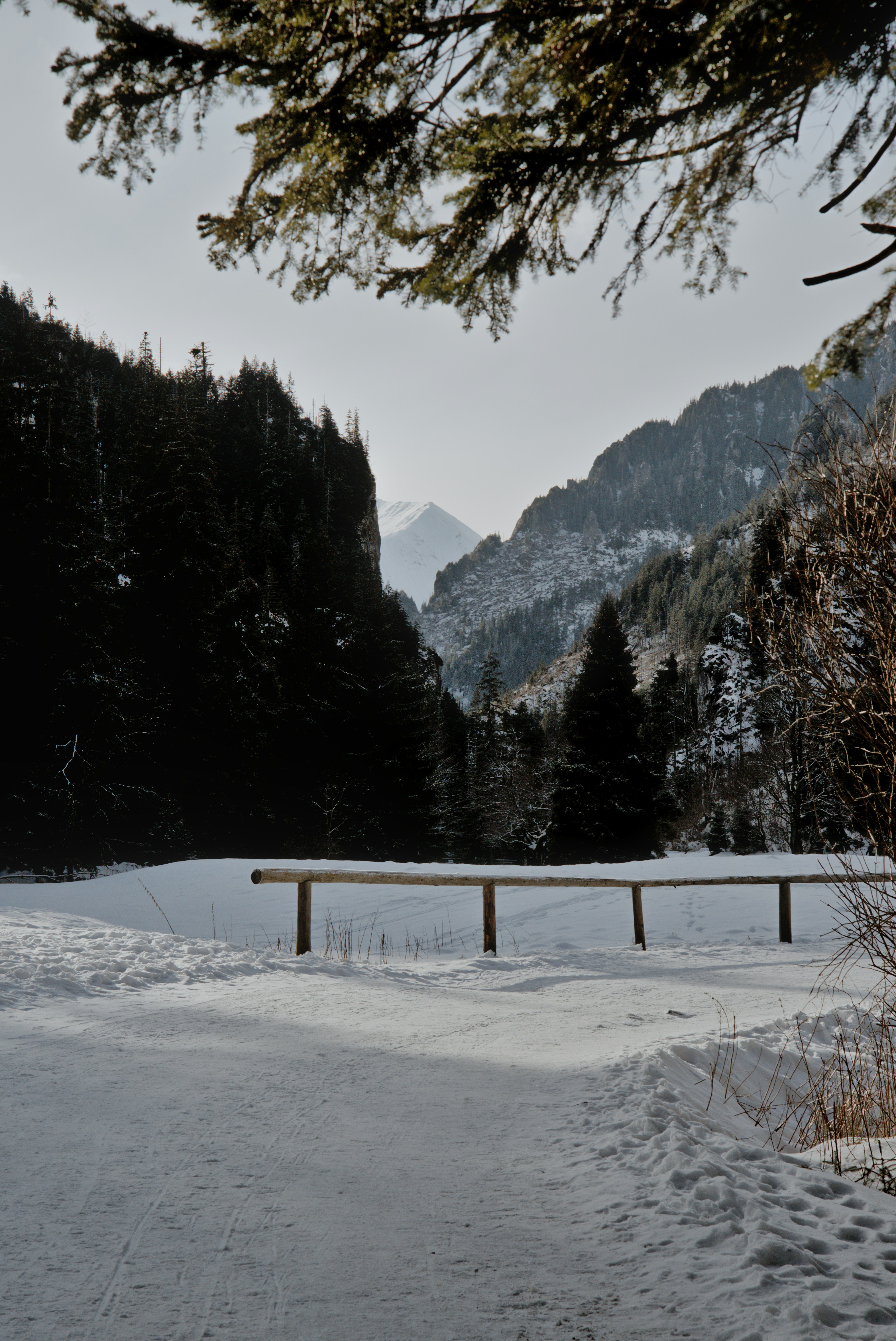 Photo by szabolcsantal