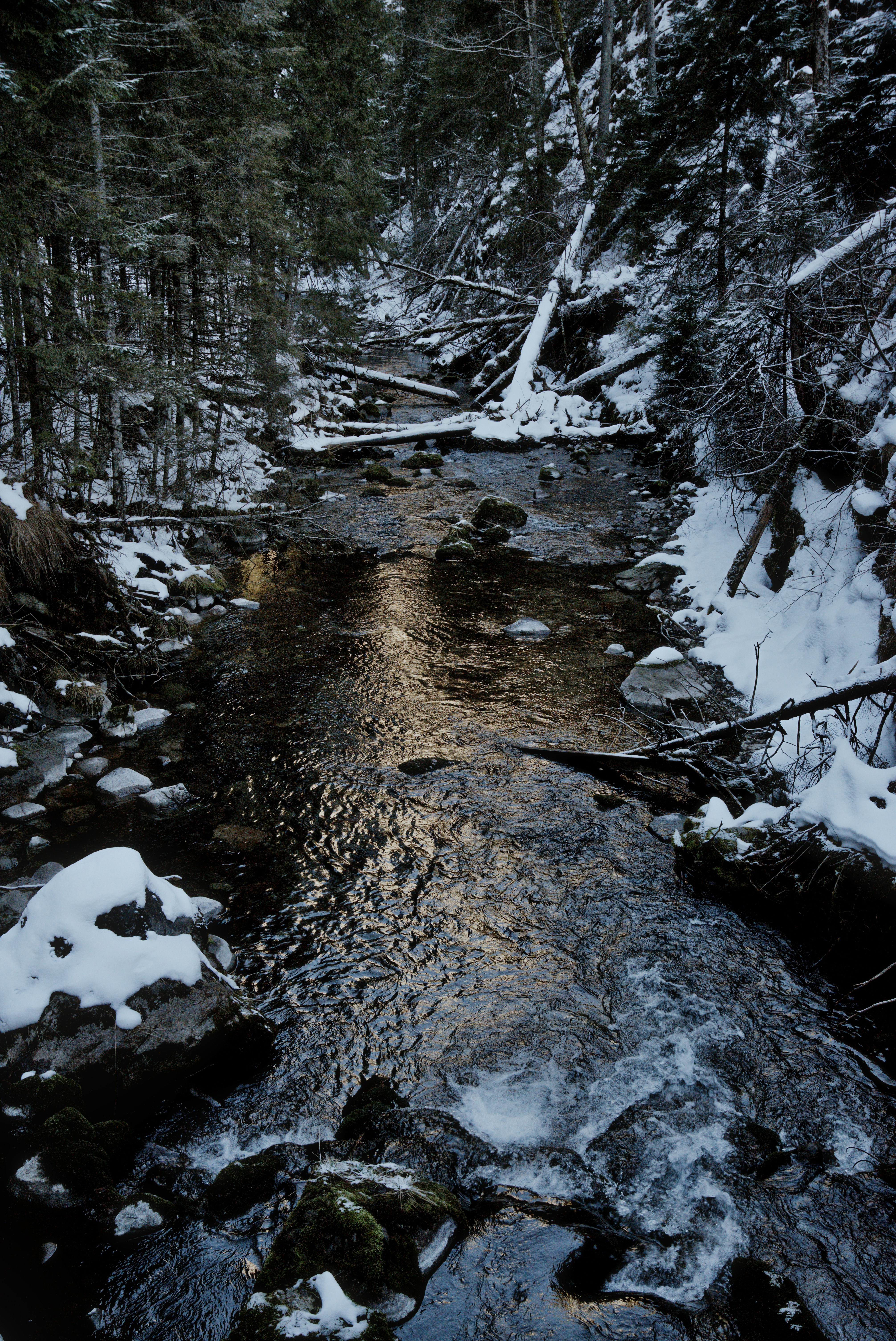 Photo by szabolcsantal