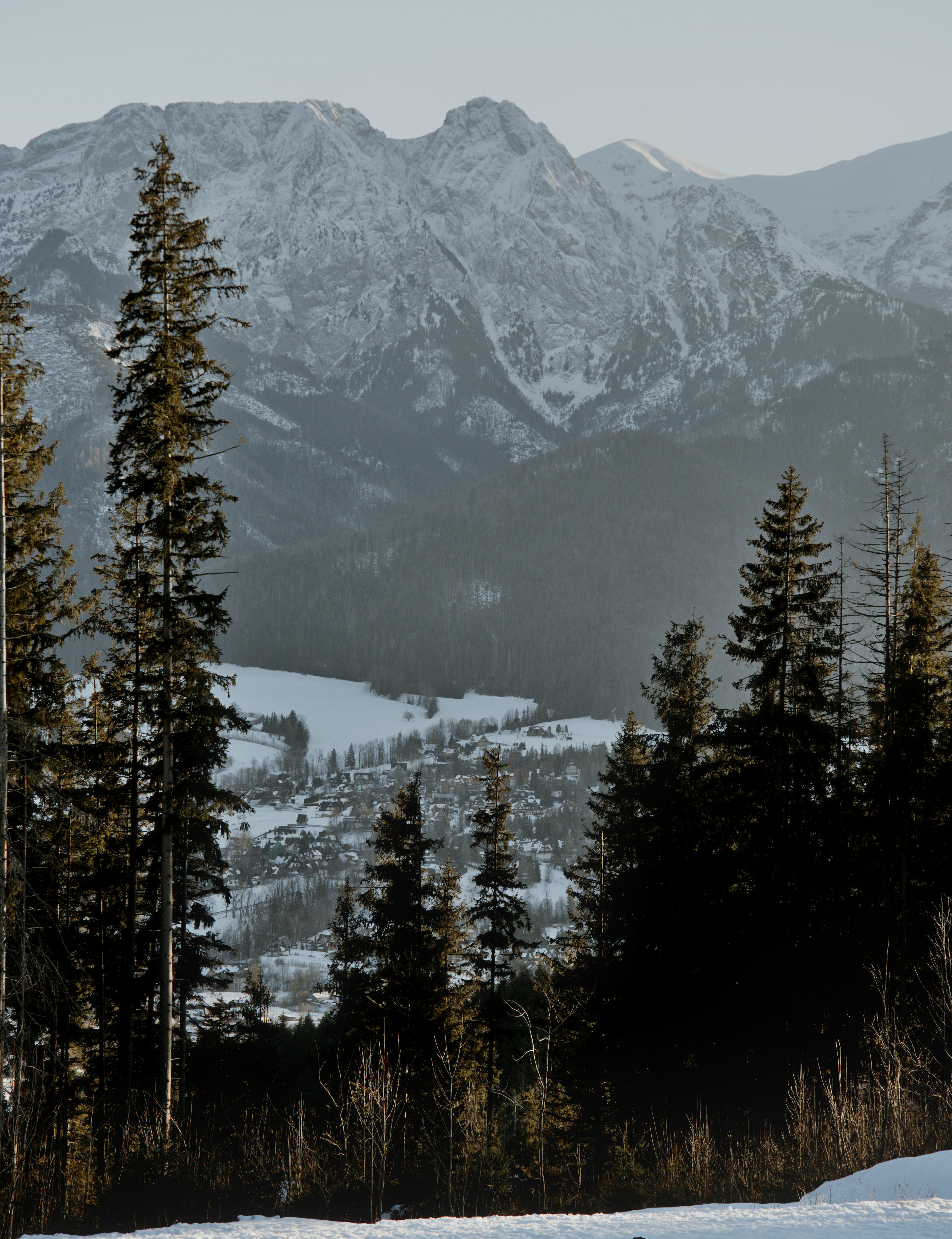 Photo by szabolcsantal