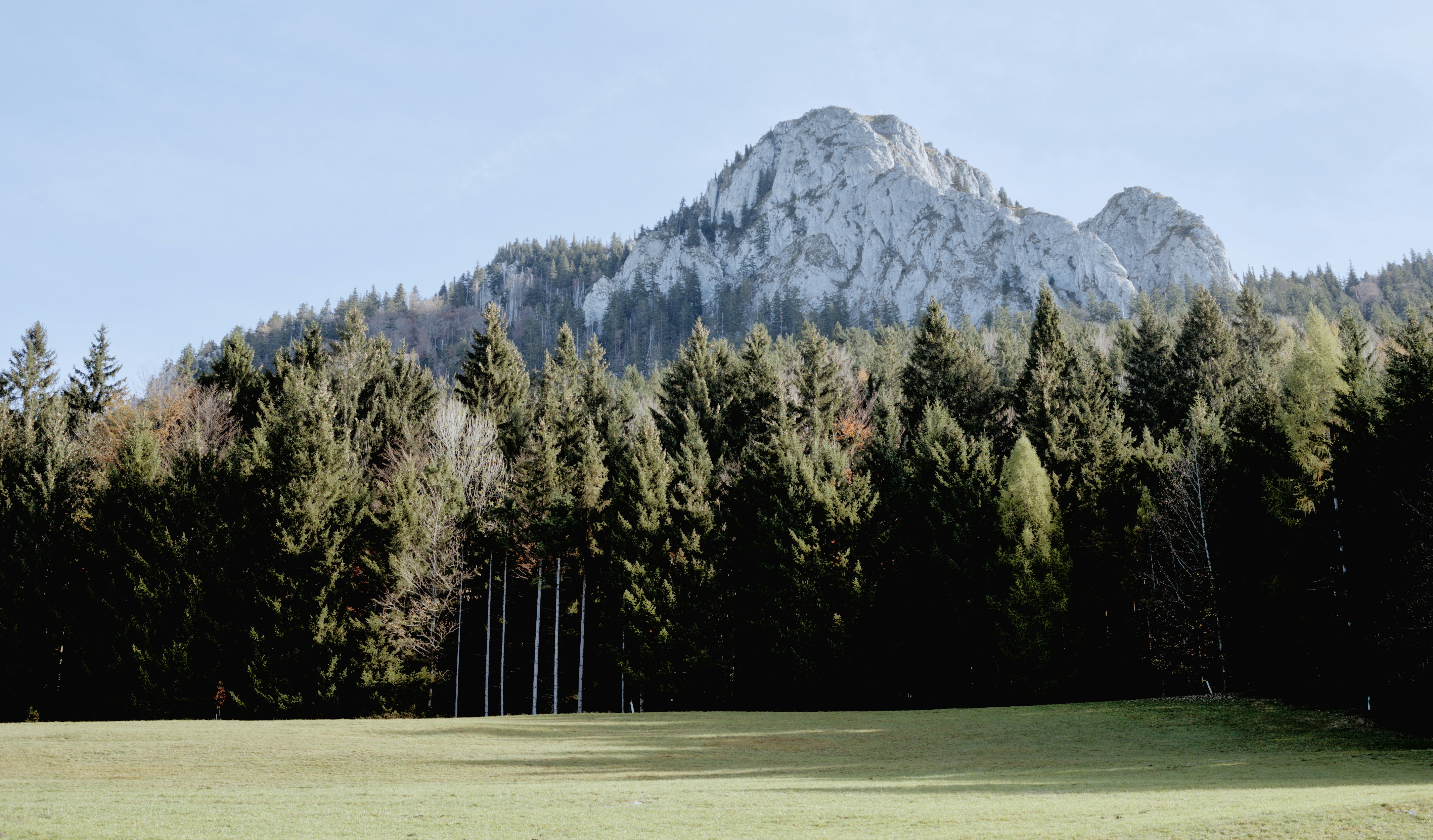 A golf course with a mountain in the background