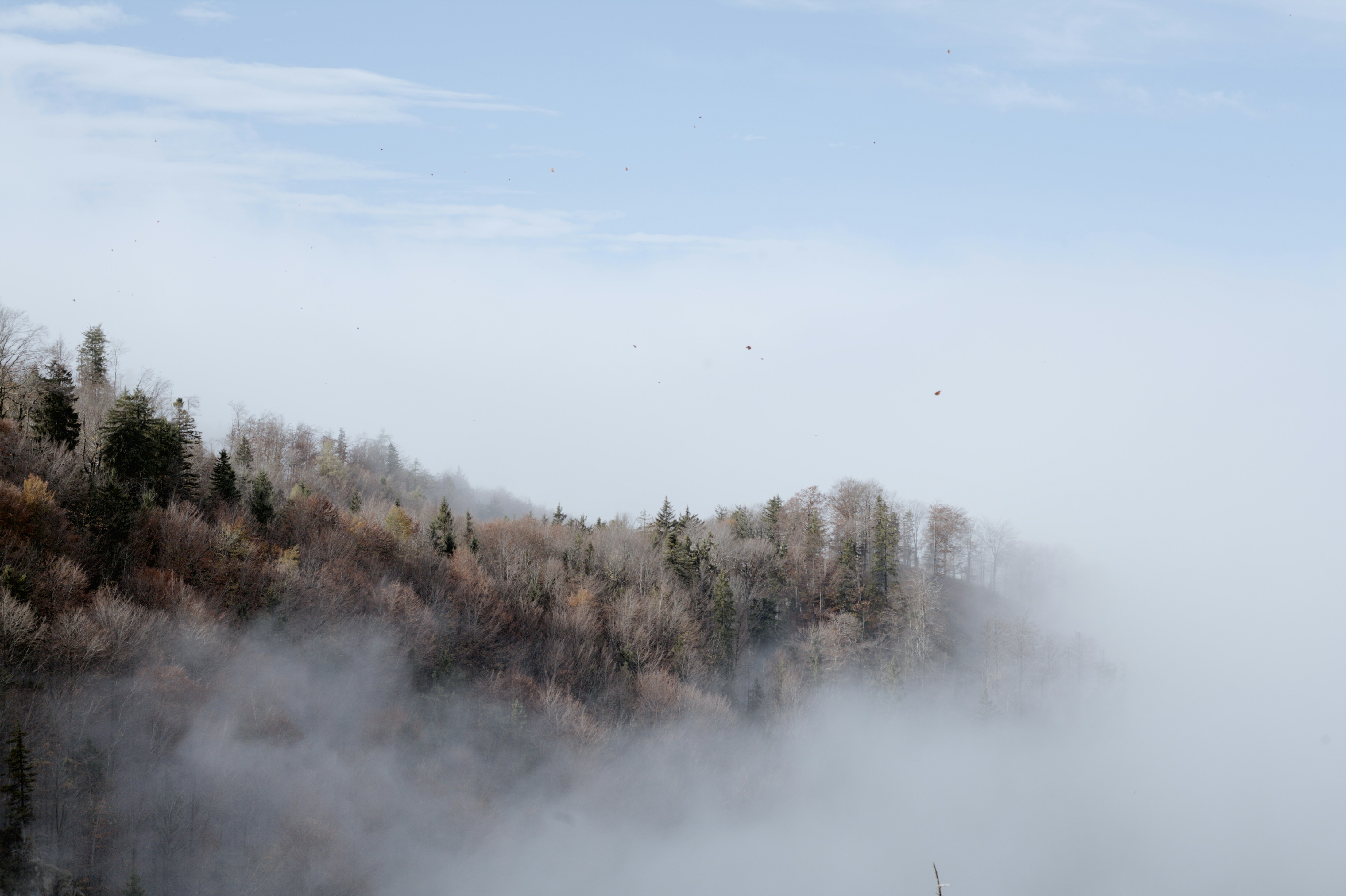 Photo by szabolcsantal