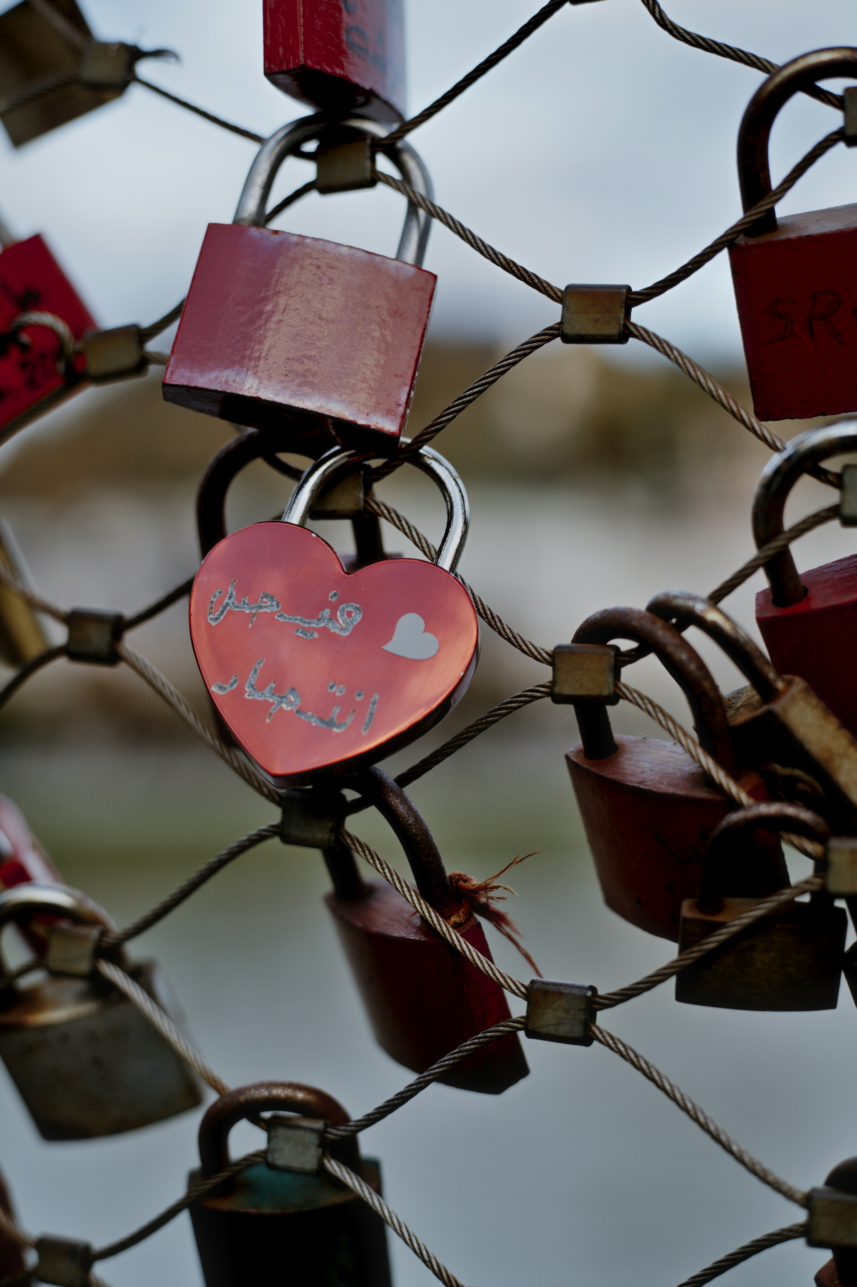 Photo by szabolcsantal