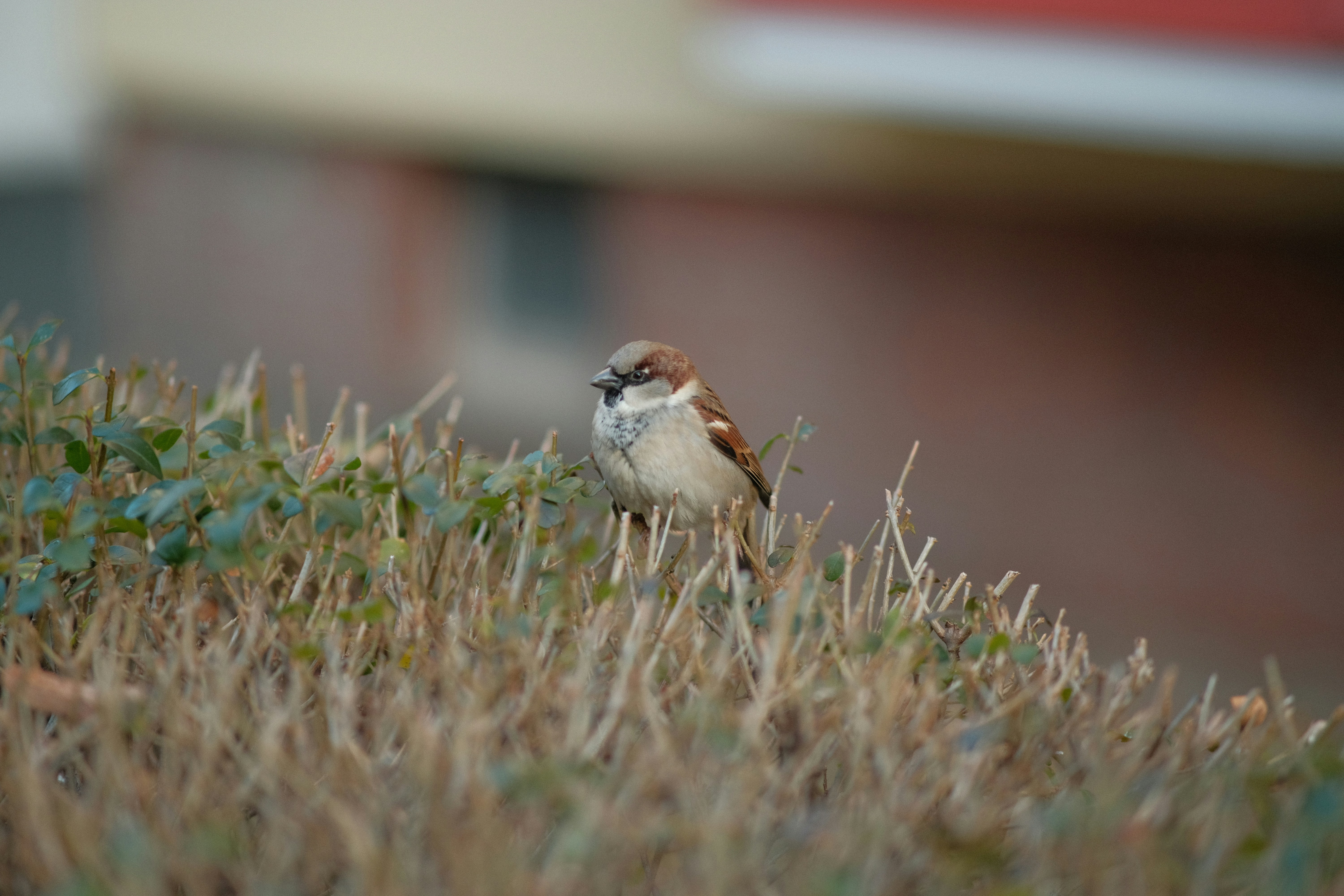 Photo by seanzielinski