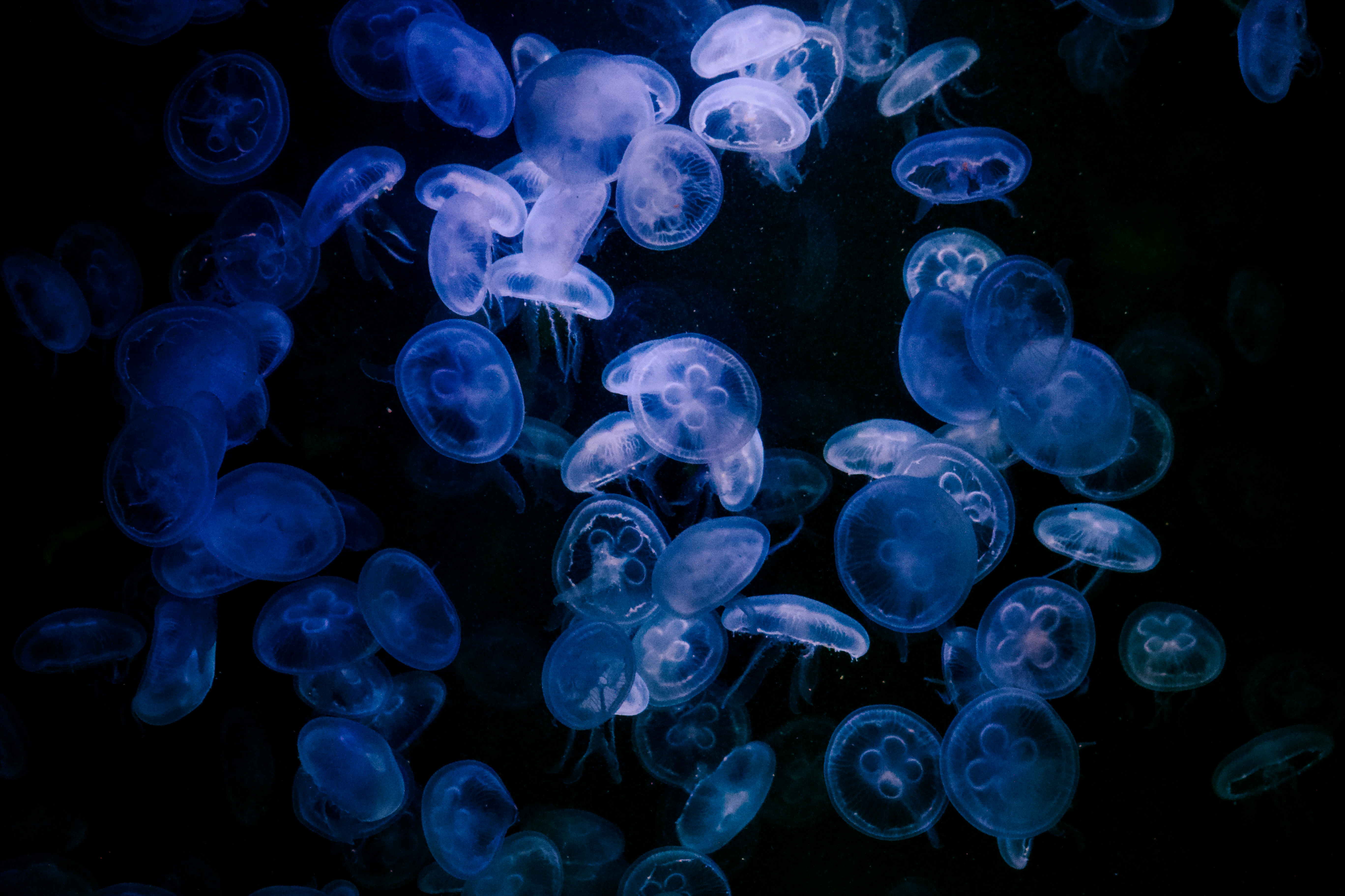 Photo by seanzielinski