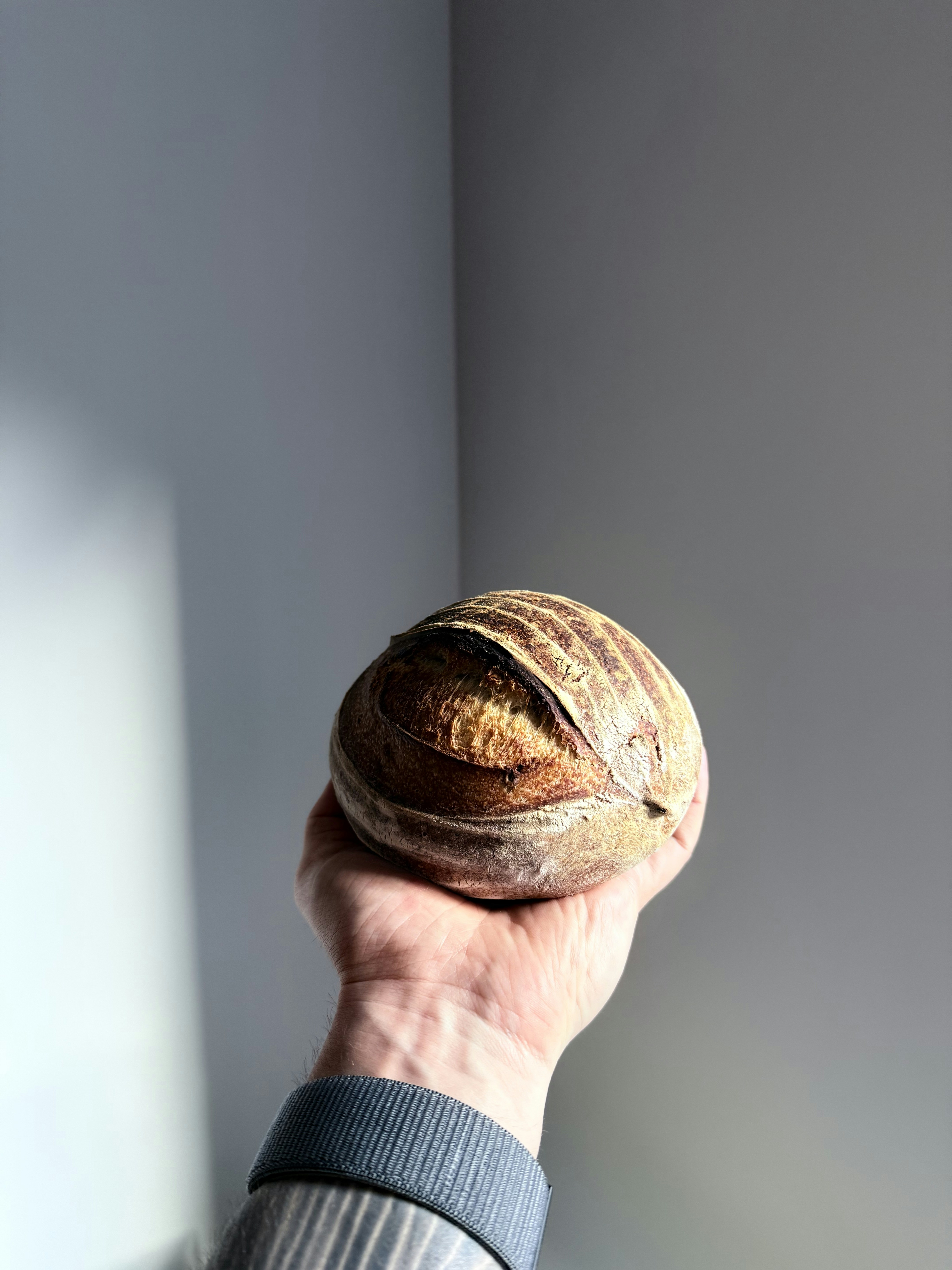 A person holding a loaf of bread in their hand