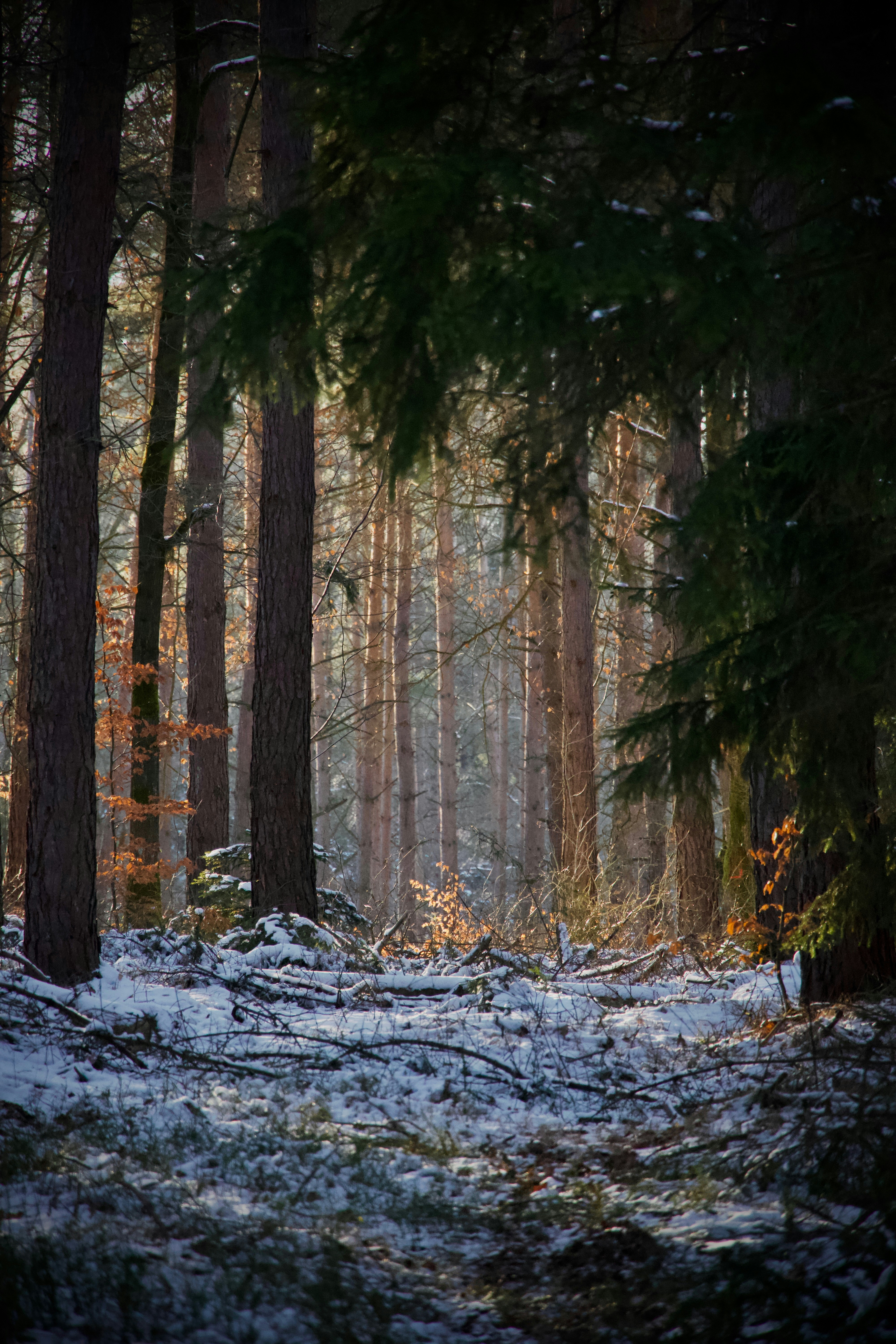 Photo by theodor_jacob