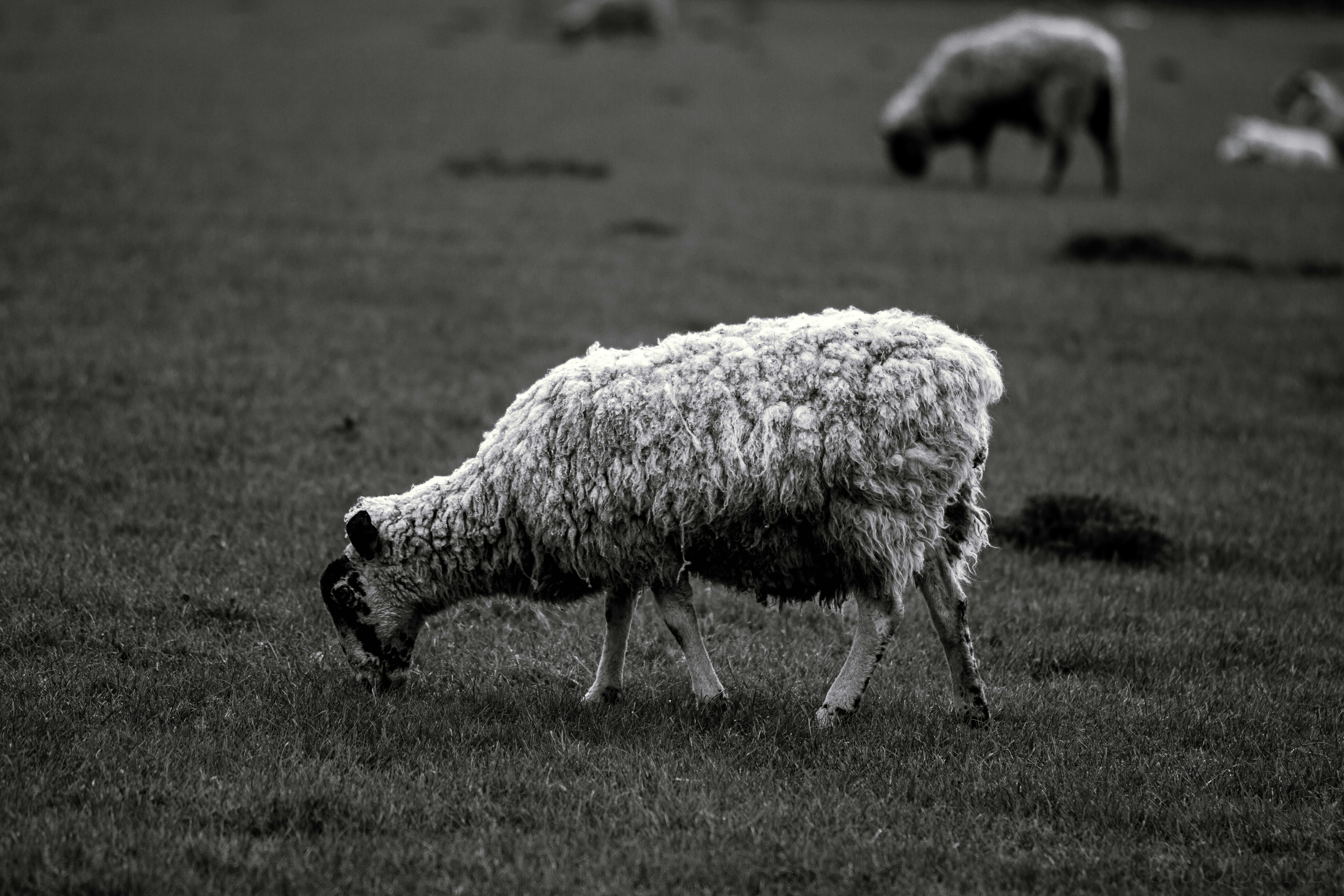 Photo by b_square_02