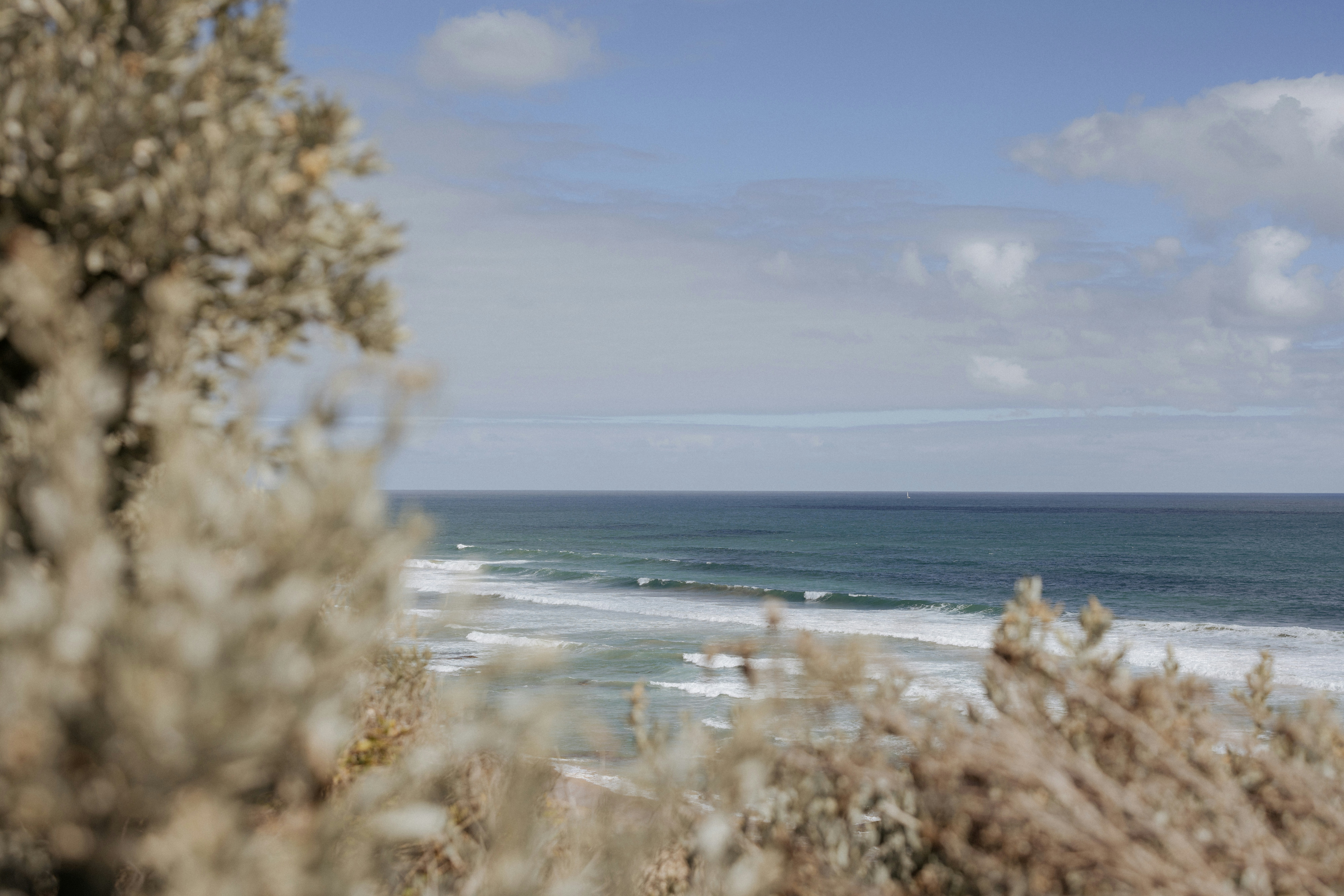 Photo by sarahjanephotography