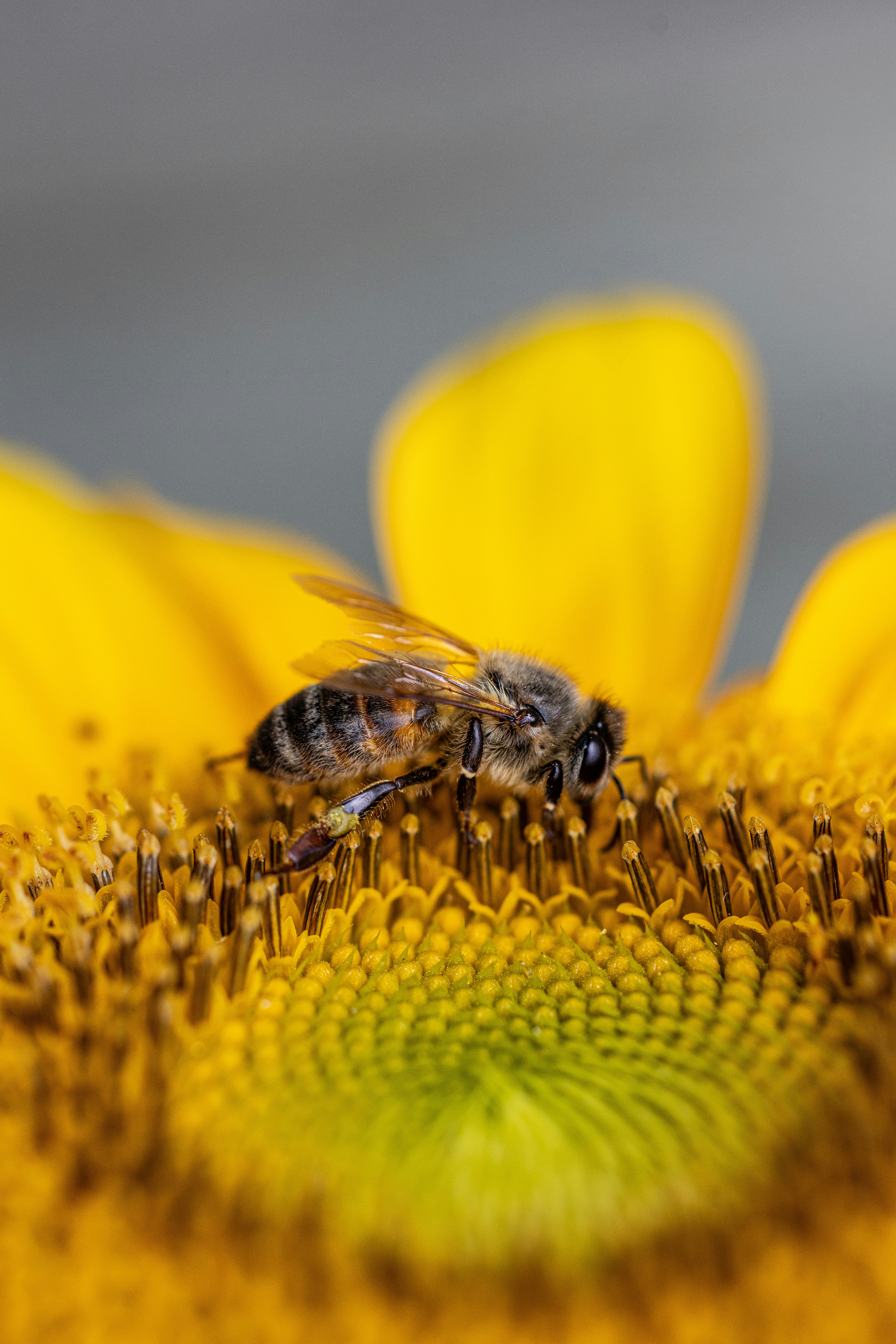 Photo by sarahjanephotography