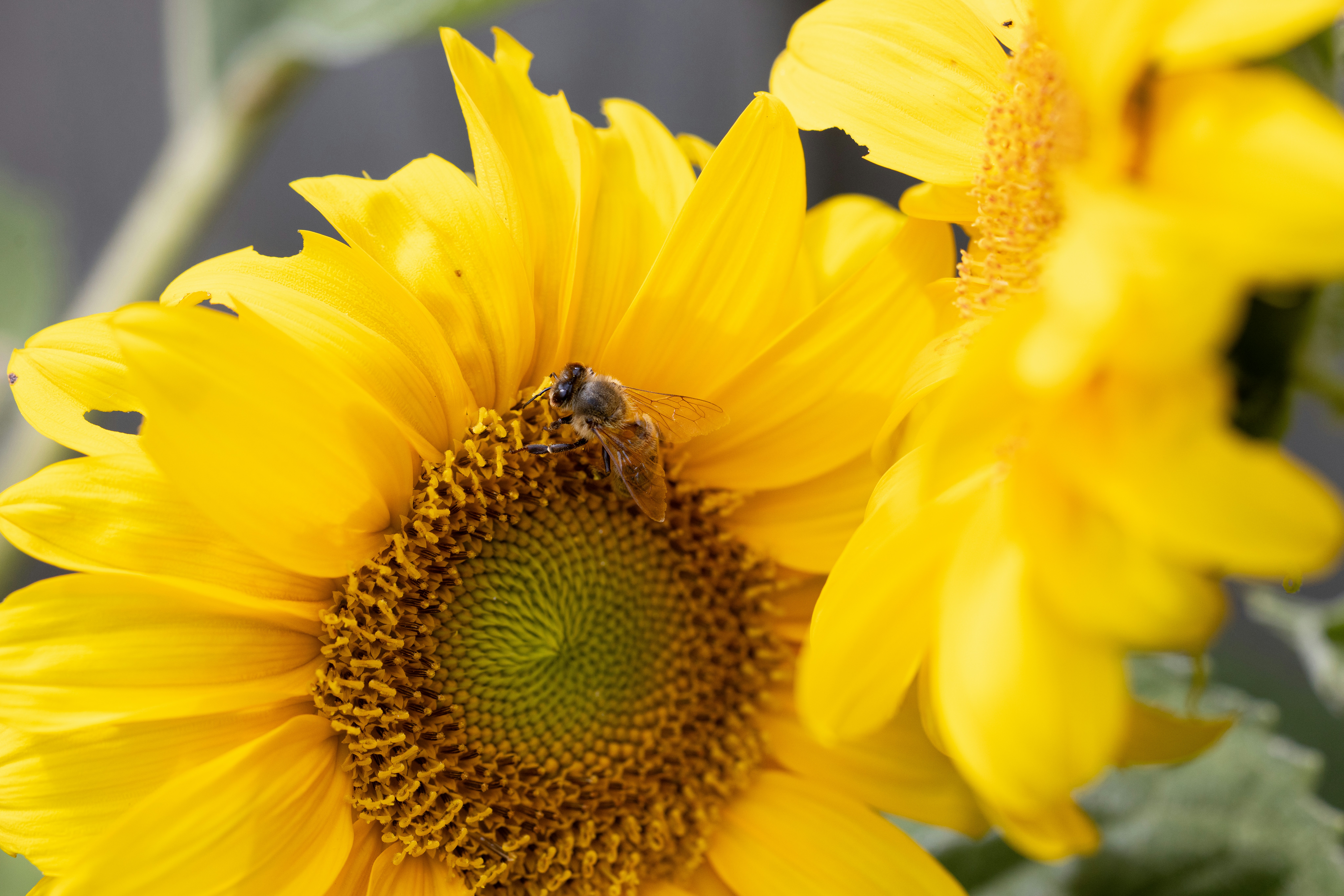 Photo by sarahjanephotography