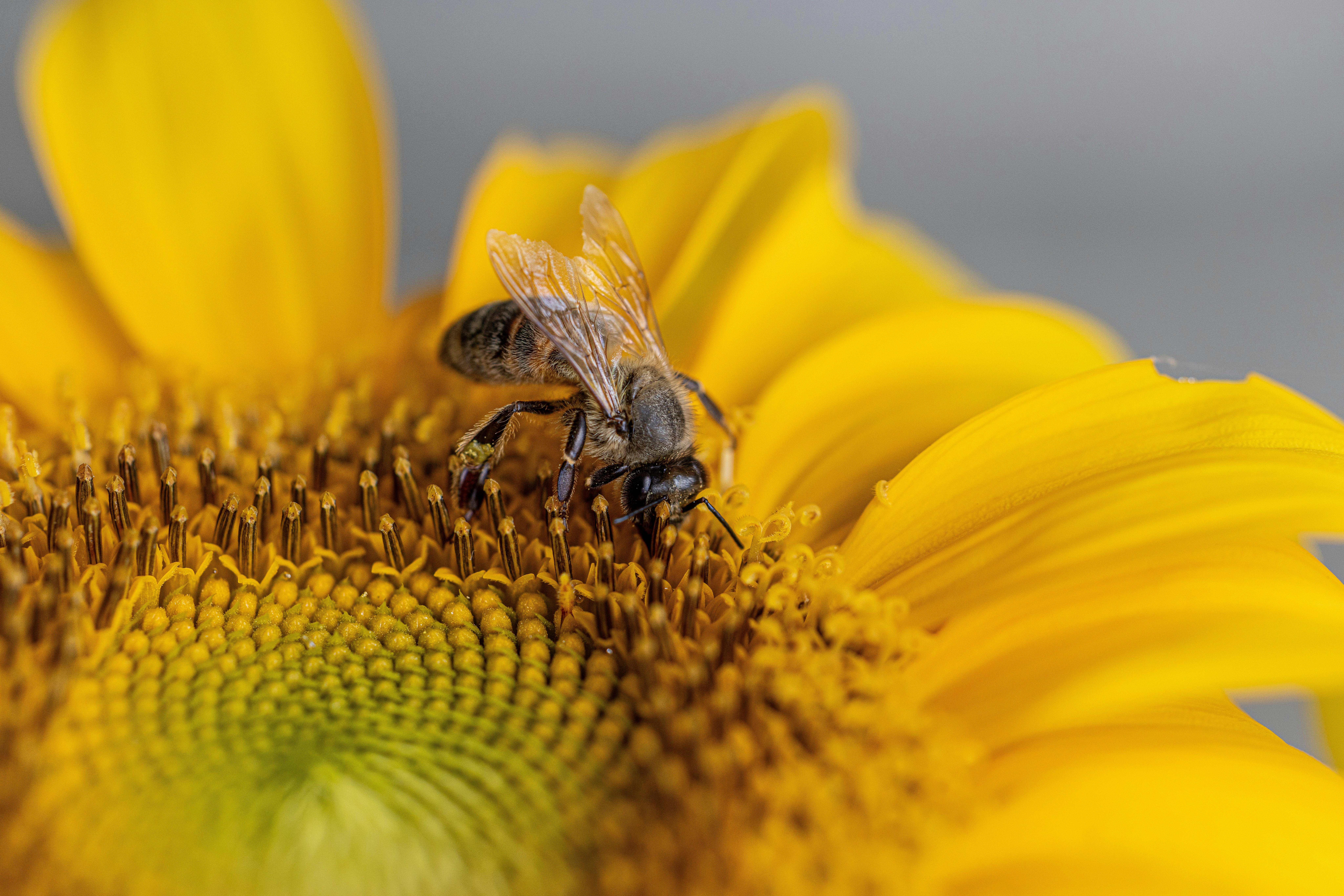 Photo by sarahjanephotography