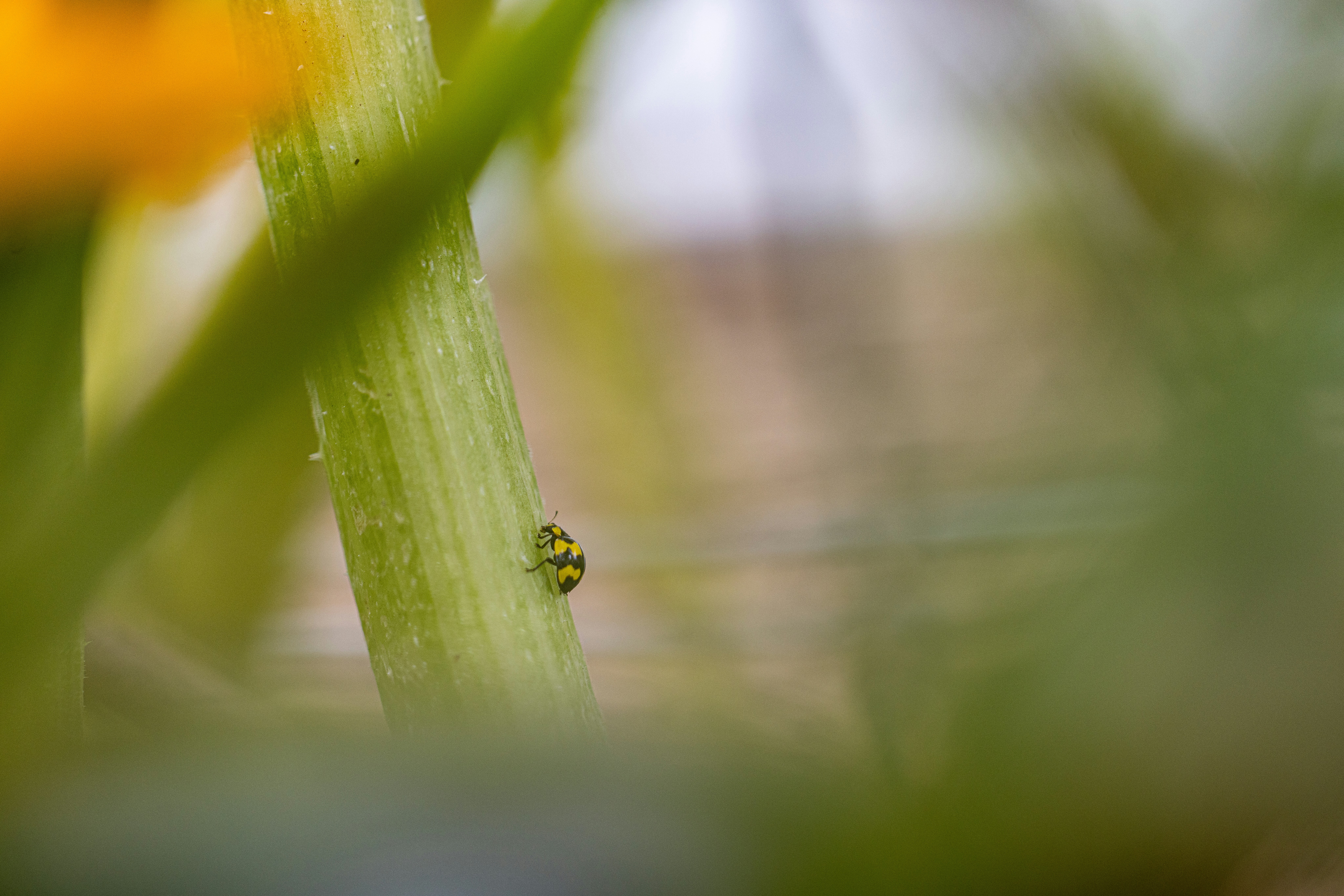 Photo by sarahjanephotography