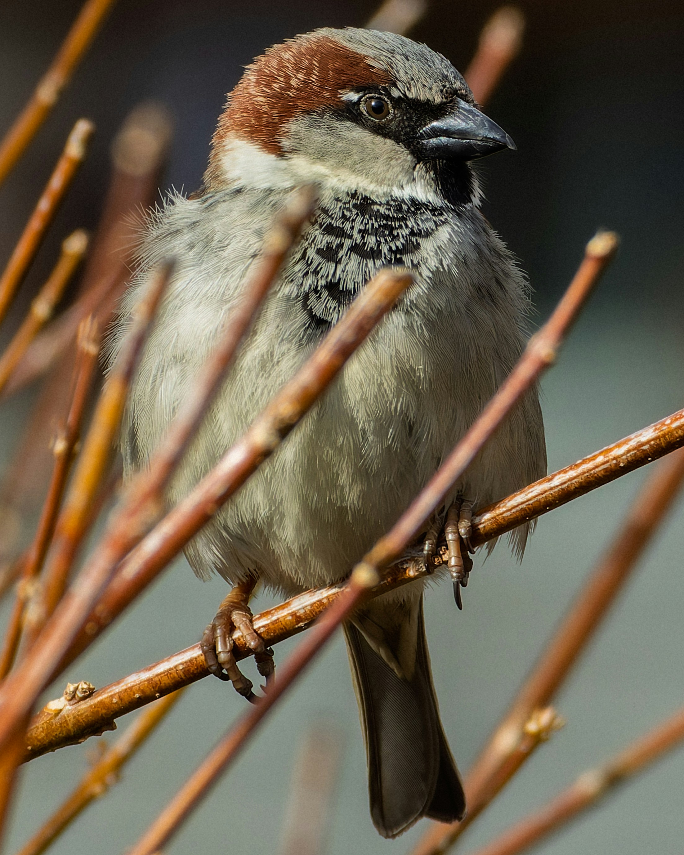 Photo by peterbbryan