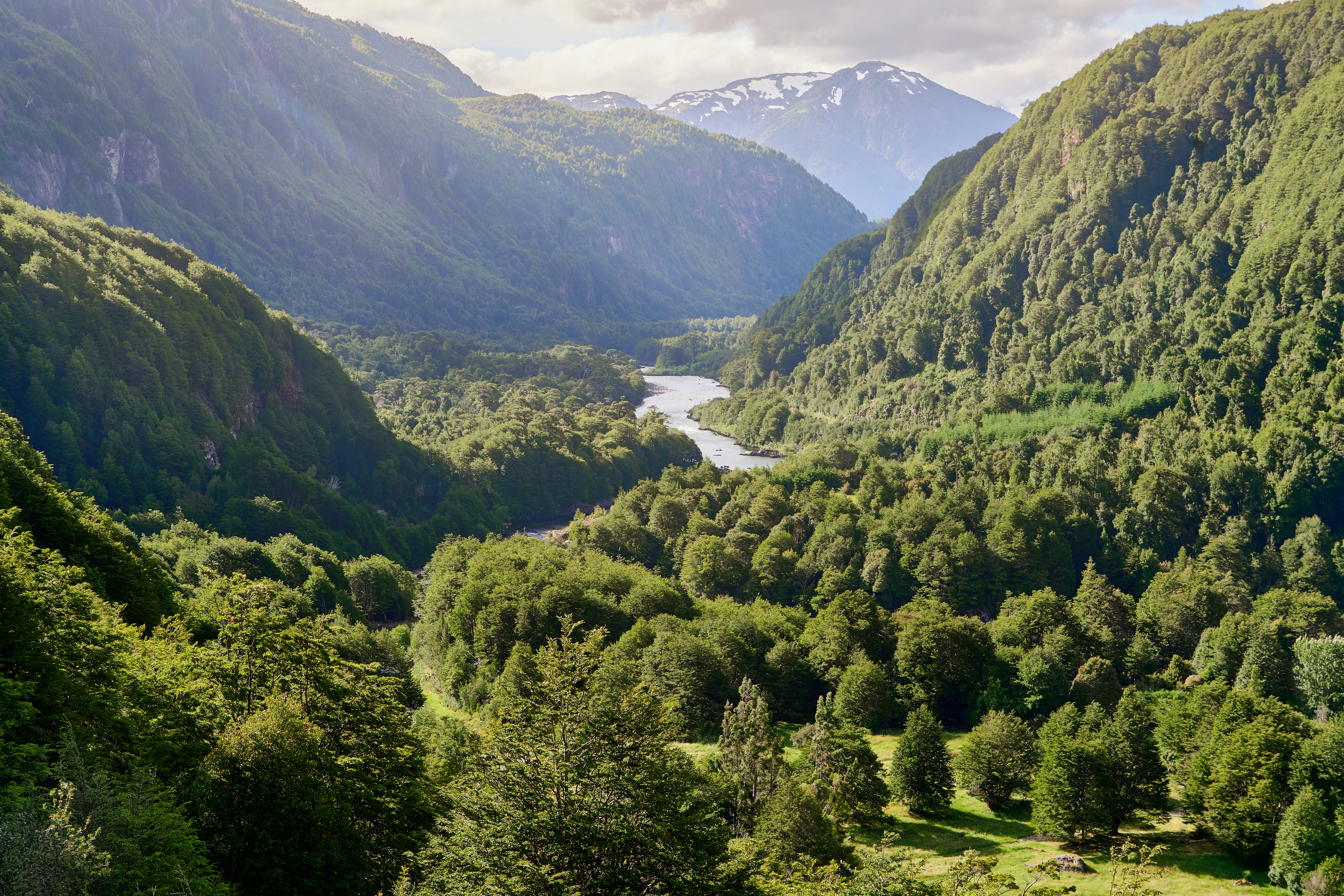 A valley filled with lush green trees and mountains