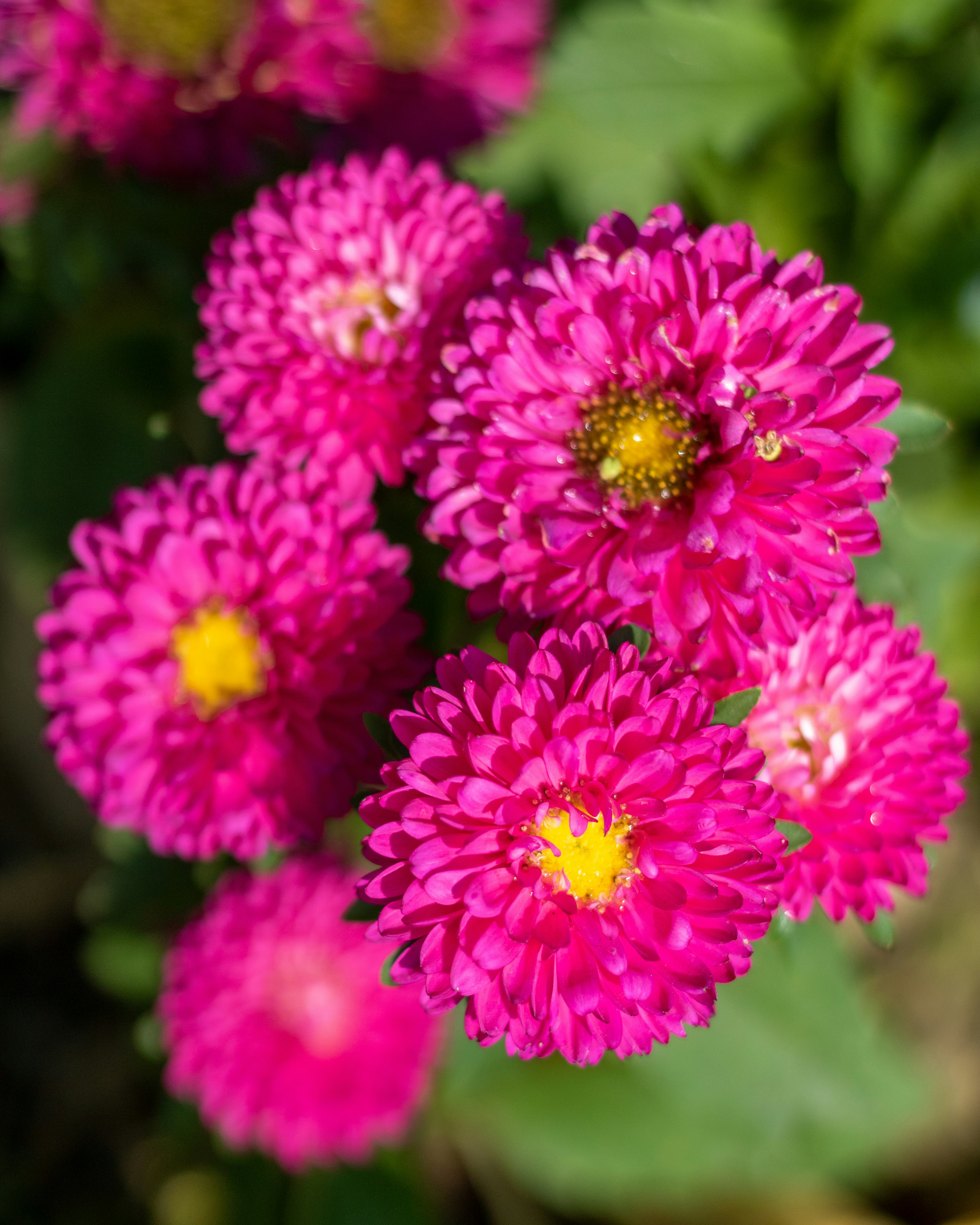 Photo by 5milliseconds