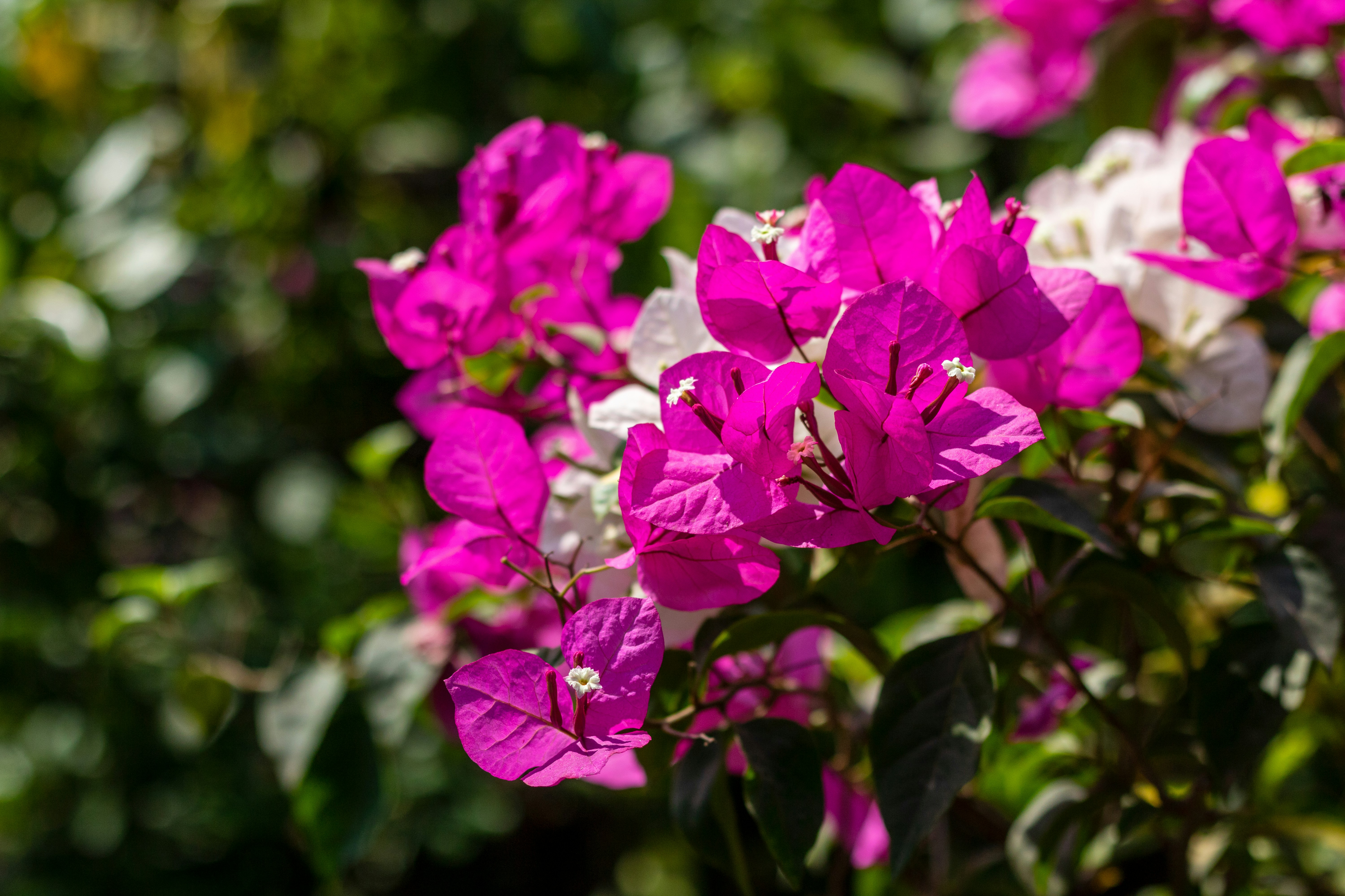 Photo by 5milliseconds