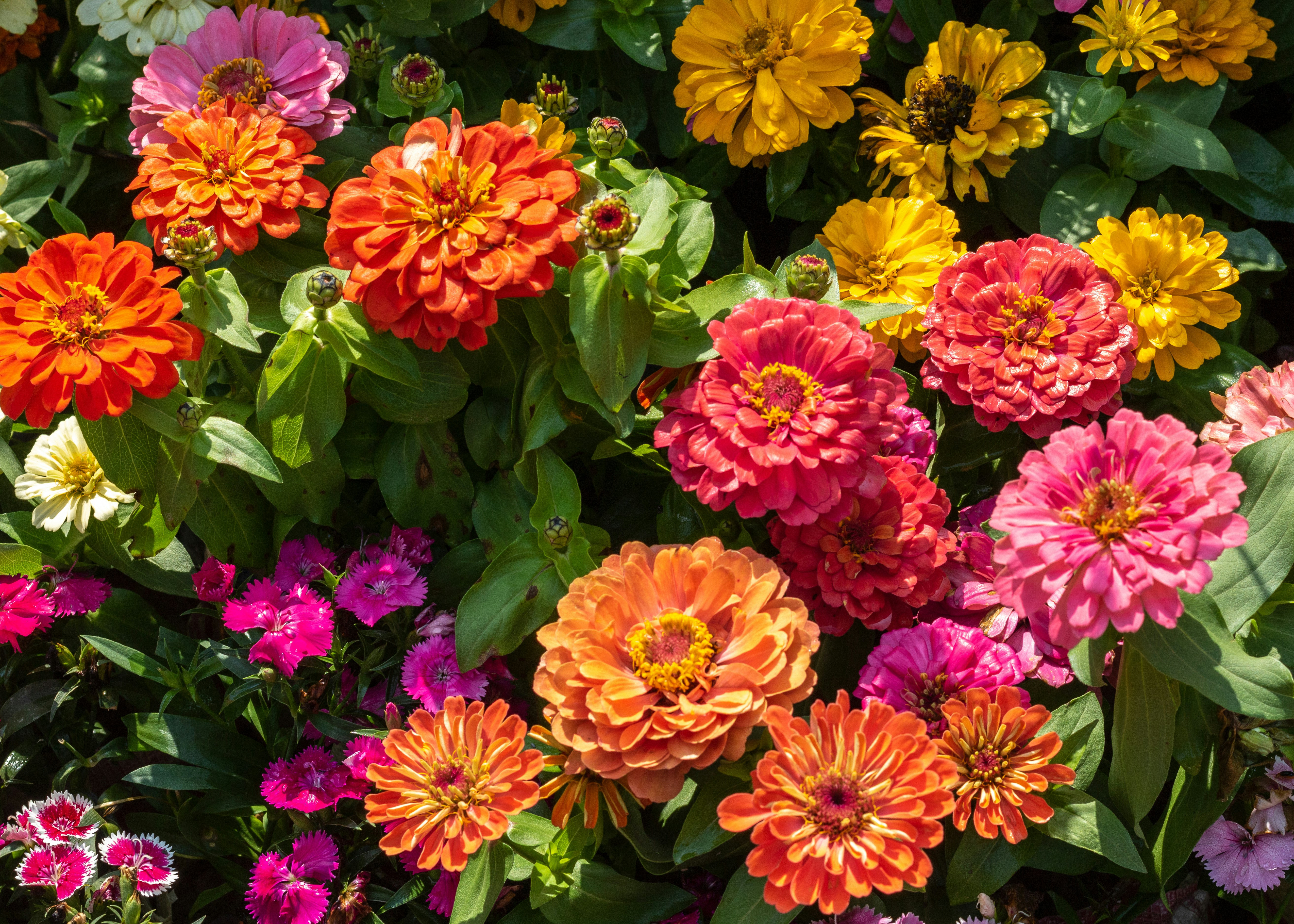 Photo by 5milliseconds