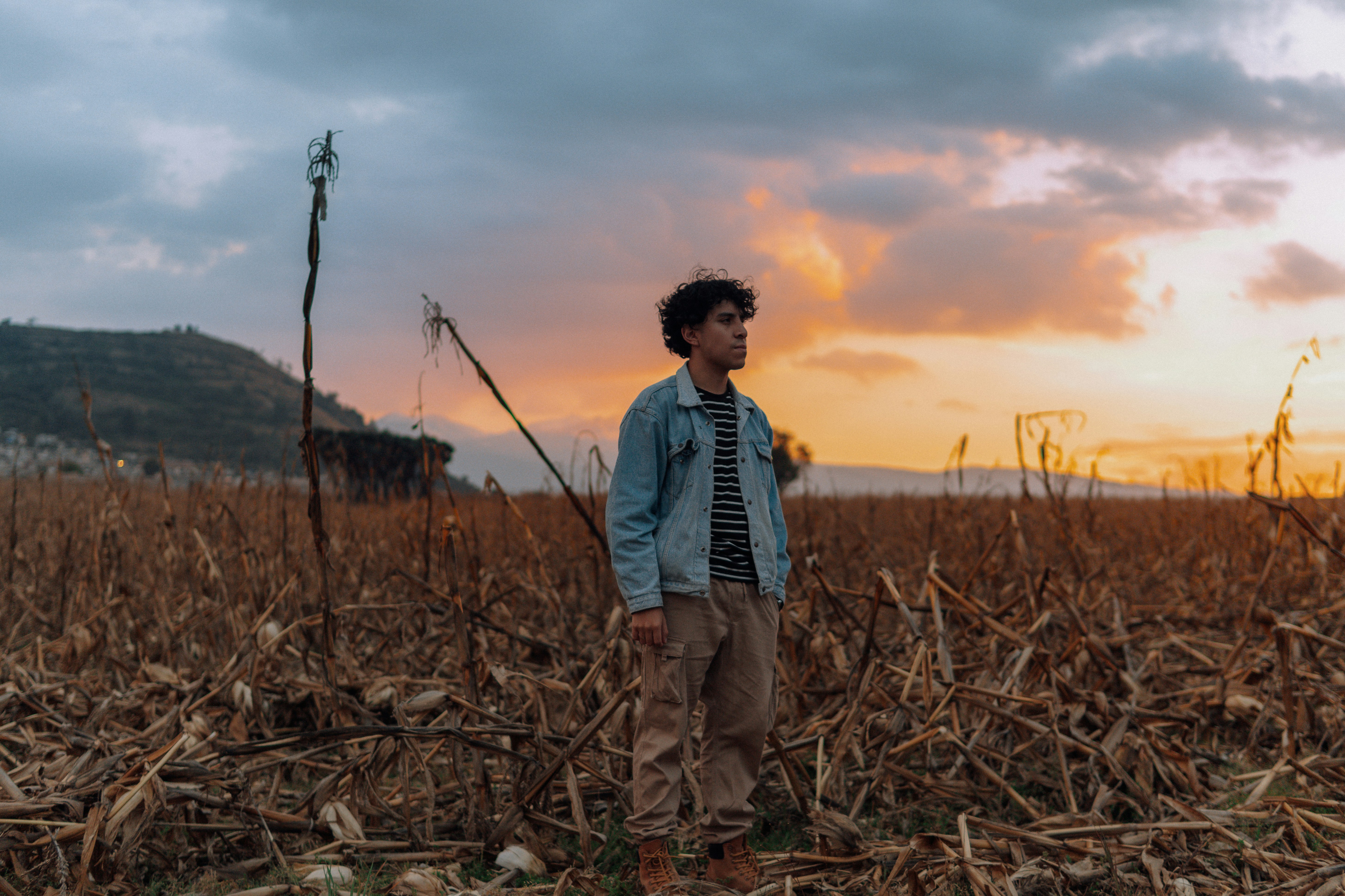 해질녘 옥수수밭에 서 있는 남자
