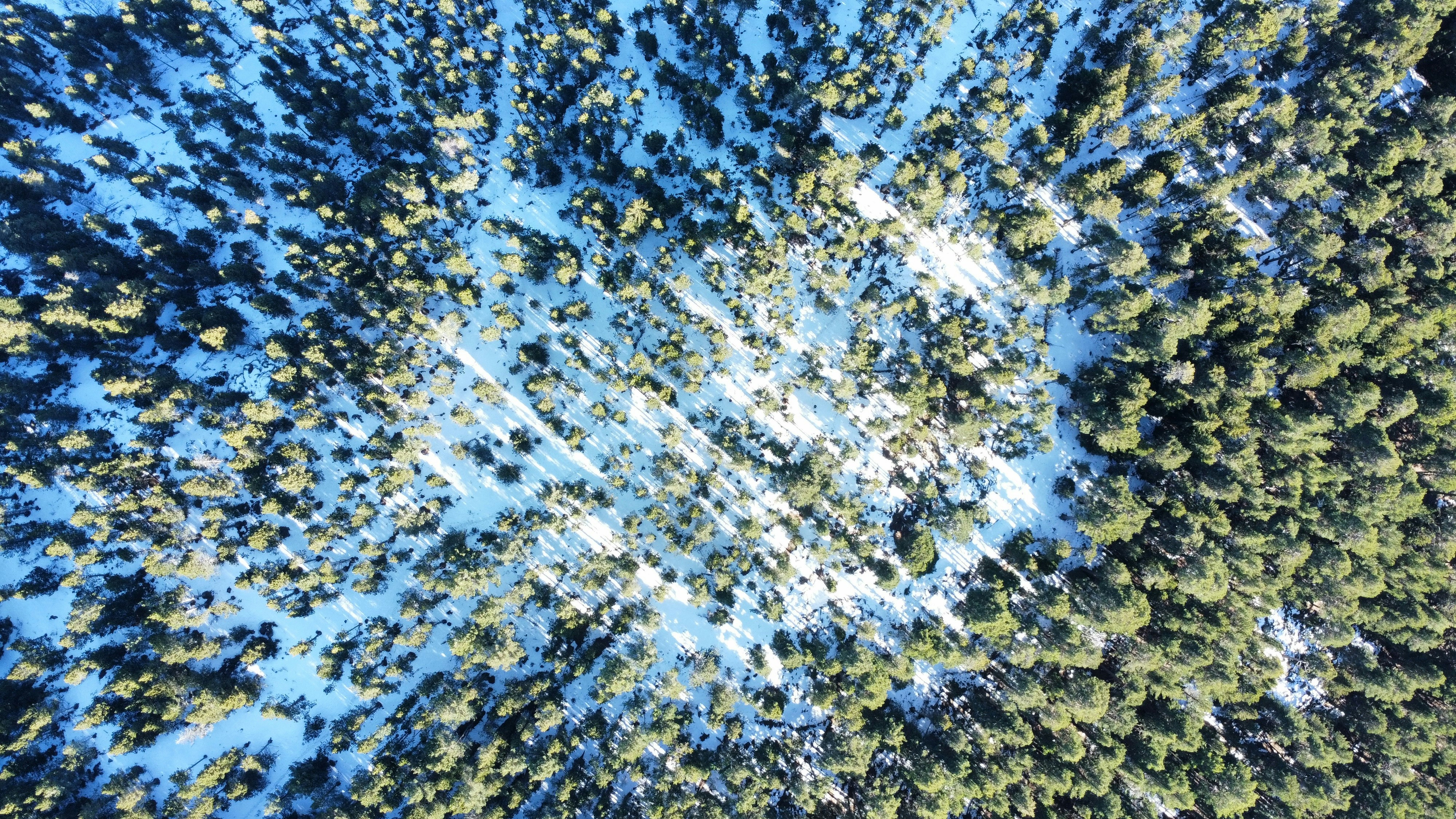 Photo by nathan_cima