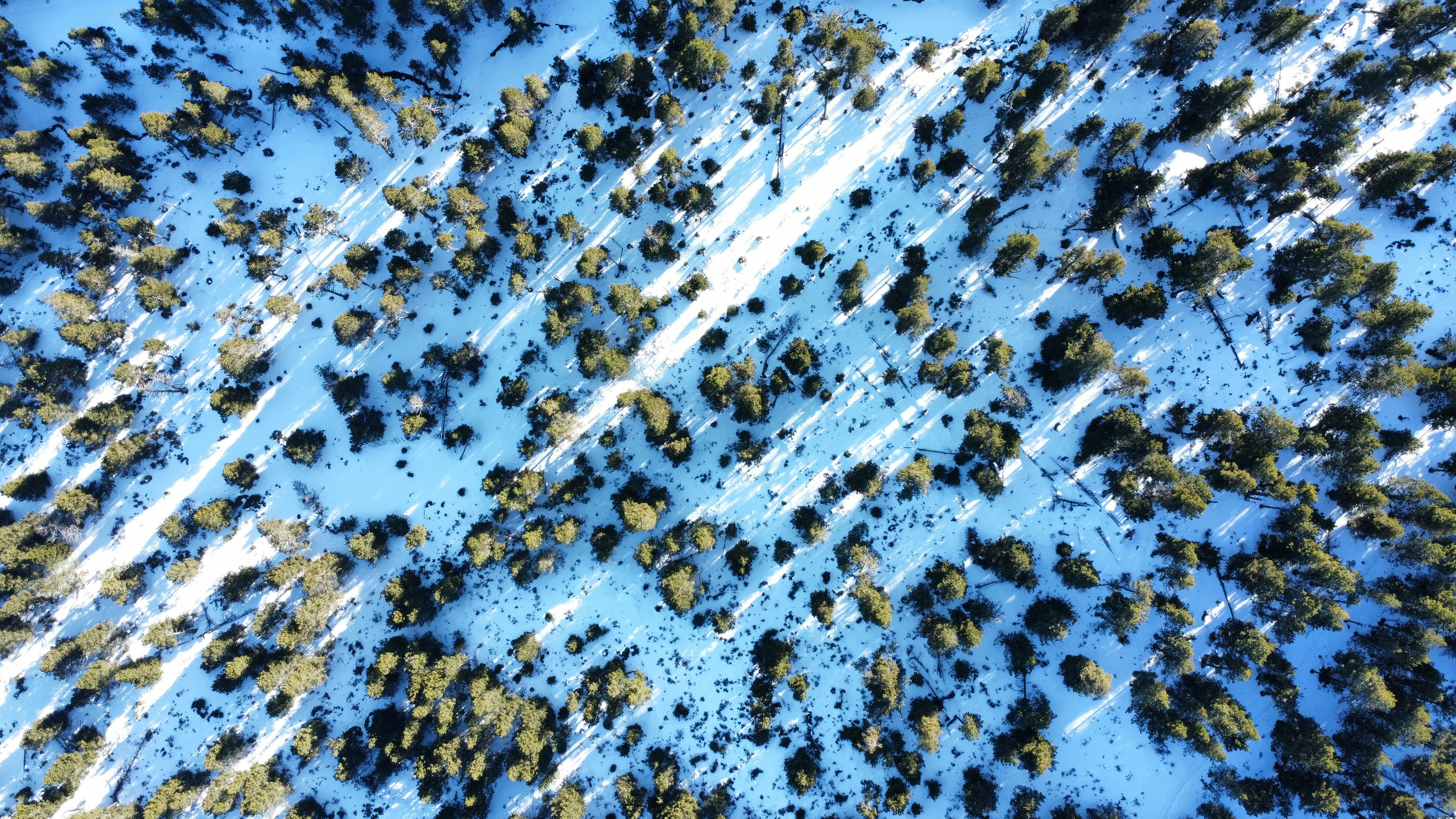 Photo by nathan_cima