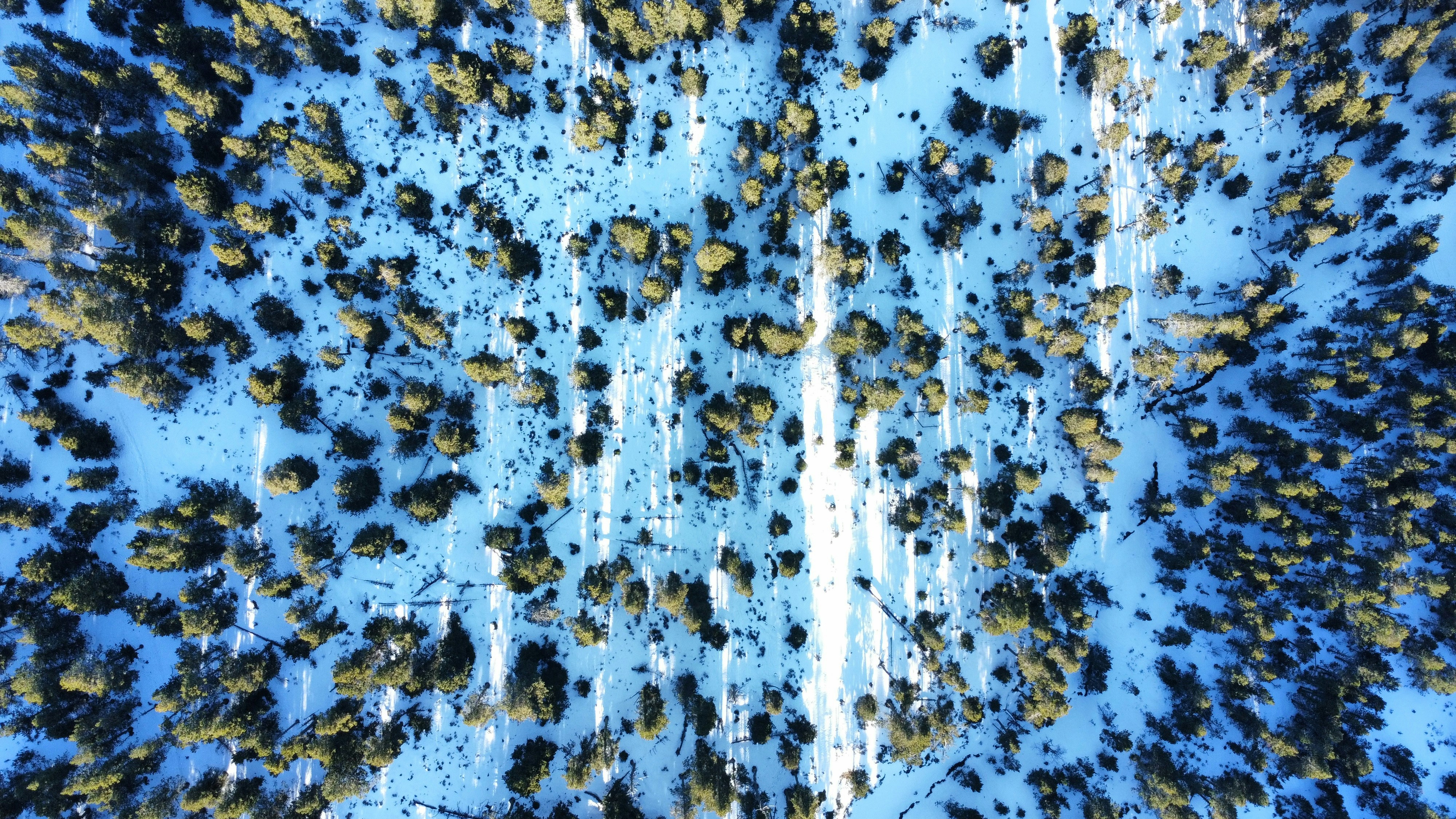 Milhas aéreas Azul: Como acumular, usar e vender pontos - Blog Mais Milhas